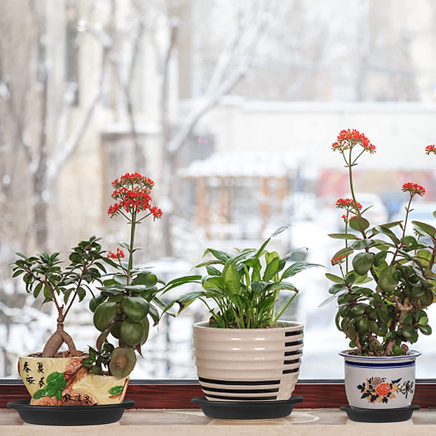 Plant Saucer Valuehall 5Pcs Plastic Plants Trays Durable Plant Pot Saucer Flower Pot Drip Trays round Garden Plant Saucer Plastic Plant Saucer Drip Trays for Indoors Outdoor Gardening V7K09 (6 Inch) image number 4