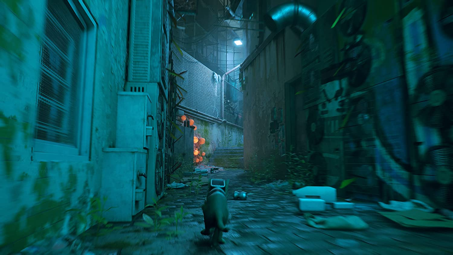 Stray - Playstation 5 image number 1