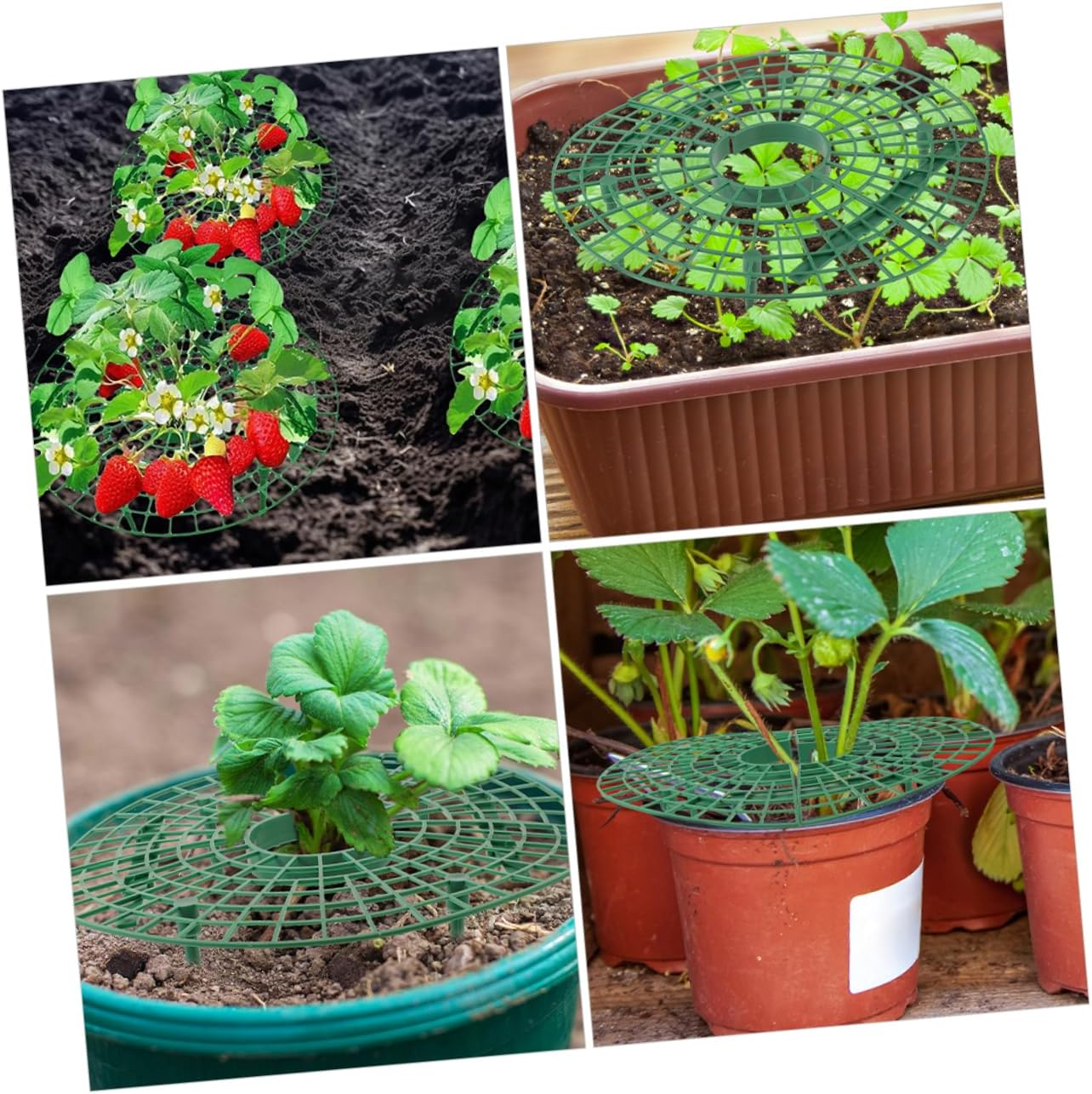 INOOMP 4Pcs Planting Rack Plant Support Cage Strawberry Growing Support Garden Tie Plant Risers for Patio Supplies image number 6