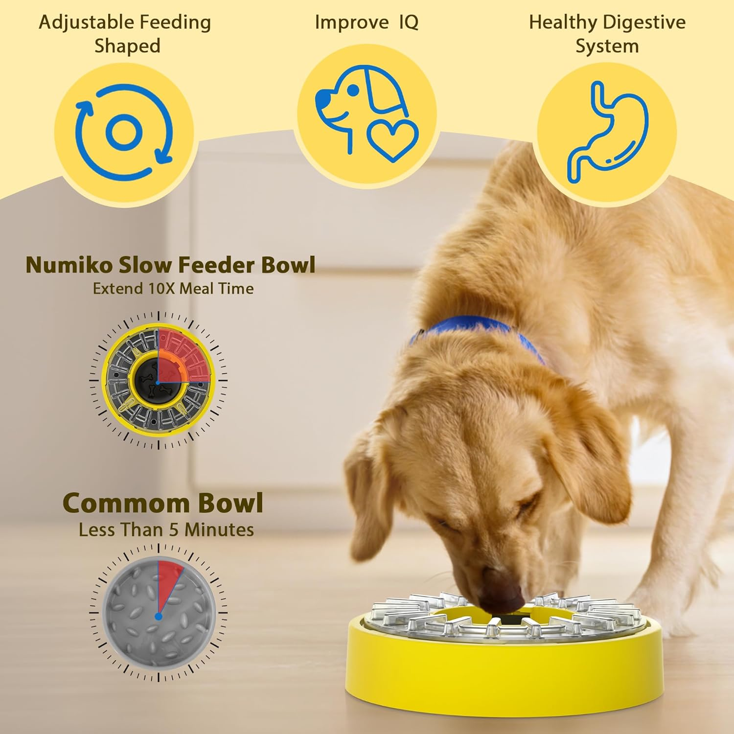Slow Food Bowl for Dogs, Dog Feeder image number 1