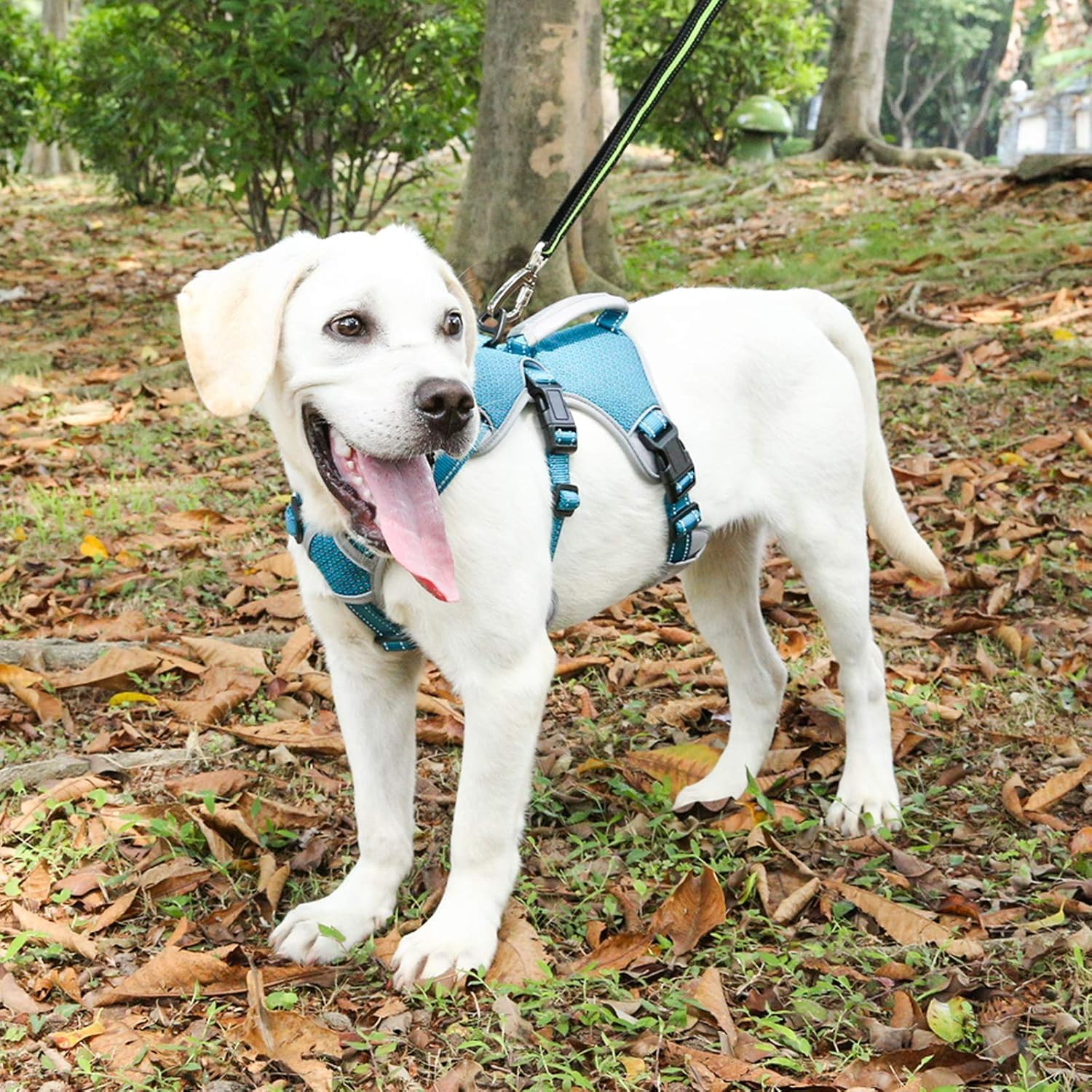 BELPRO Multi-Use Support Dog Harness, Escape Proof No Pull Reflective Adjustable Vest with Durable Handle, Dog Walking Harness for Big/Active Dogs (XL (Pack of 1), Blue) image number 2