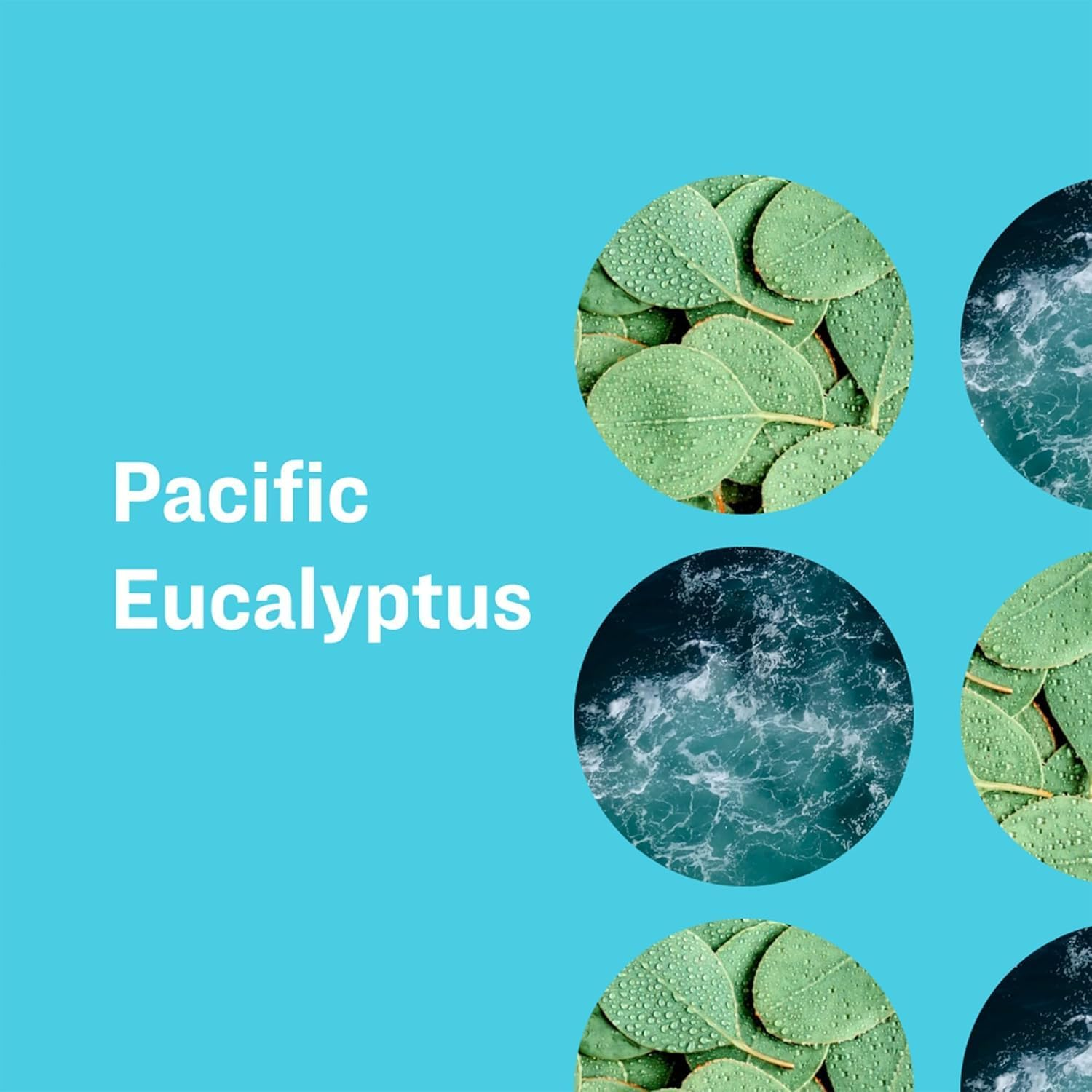 Everyone Pacific Eucalyptus Hand Soap, 12.75 FZ image number 4