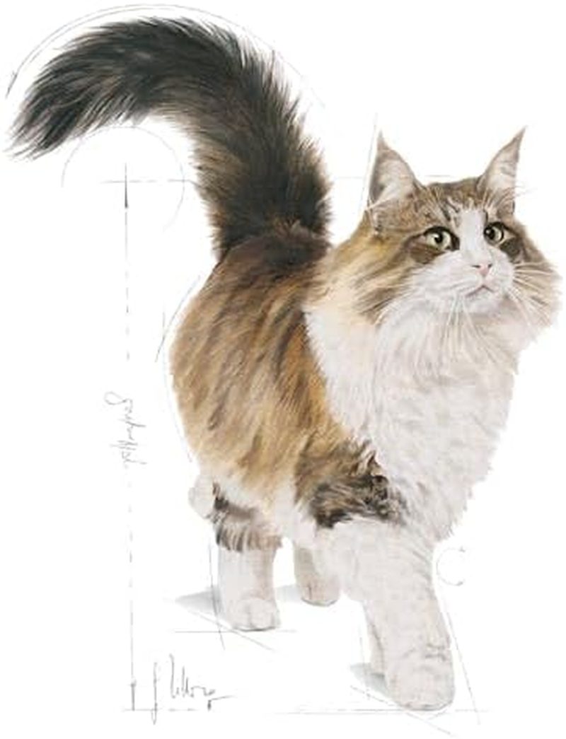 Royal Canin Instinctive Loaf Adult Pouches Wet Cat Food 85 GMS 12 Pack