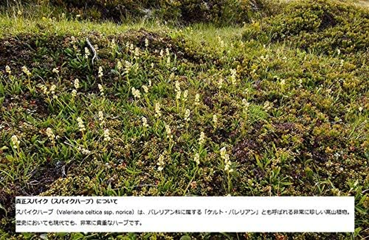 Speick Thermal Sensitive Shower Gel, 200 Ml