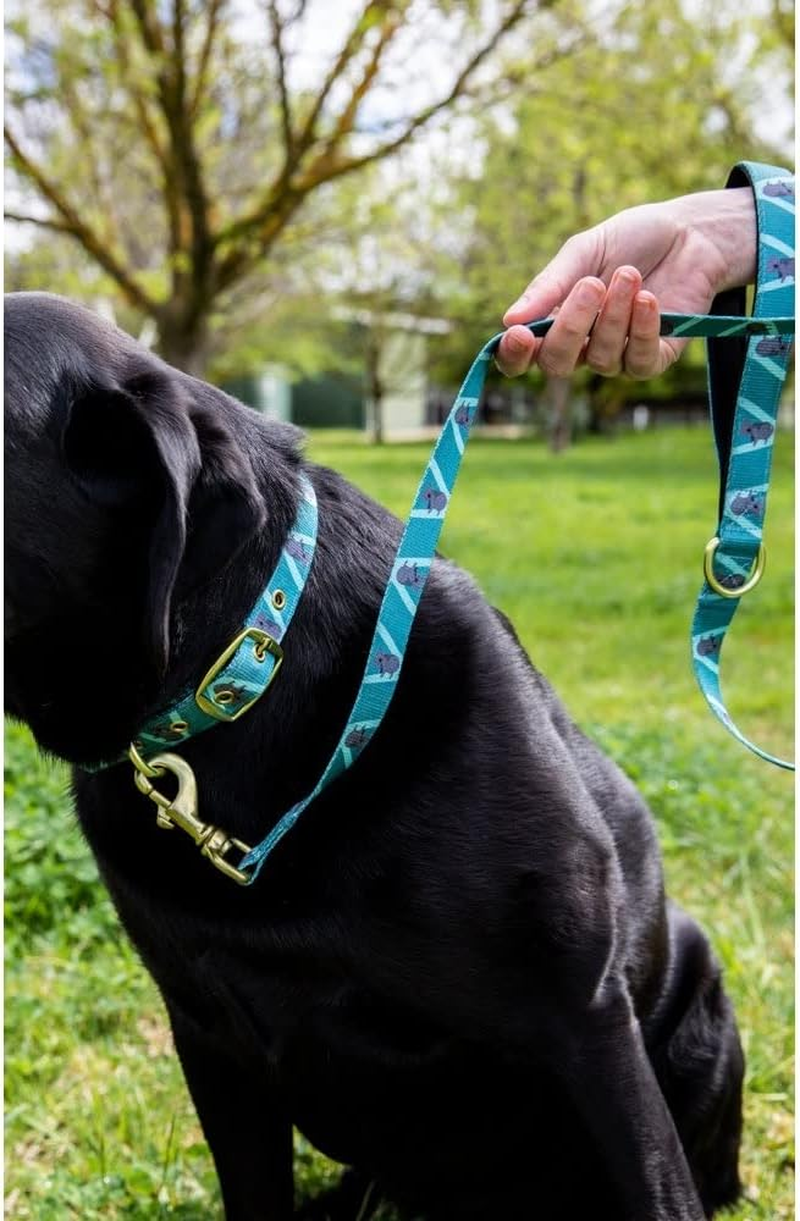 Anipal Kylo the Koala Dog Leash - Made from Recycled Plastic Bottles