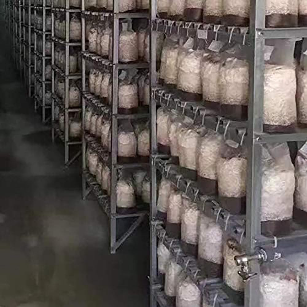 Lyhaogao 25 Pcs Small Mushroom Transparent Grow Bags with Breathable Membrane,Space Efficient Indoor Gardening Cultivation Supplies for Optimal Airflow and Healthy Mushroom Growth image number 1