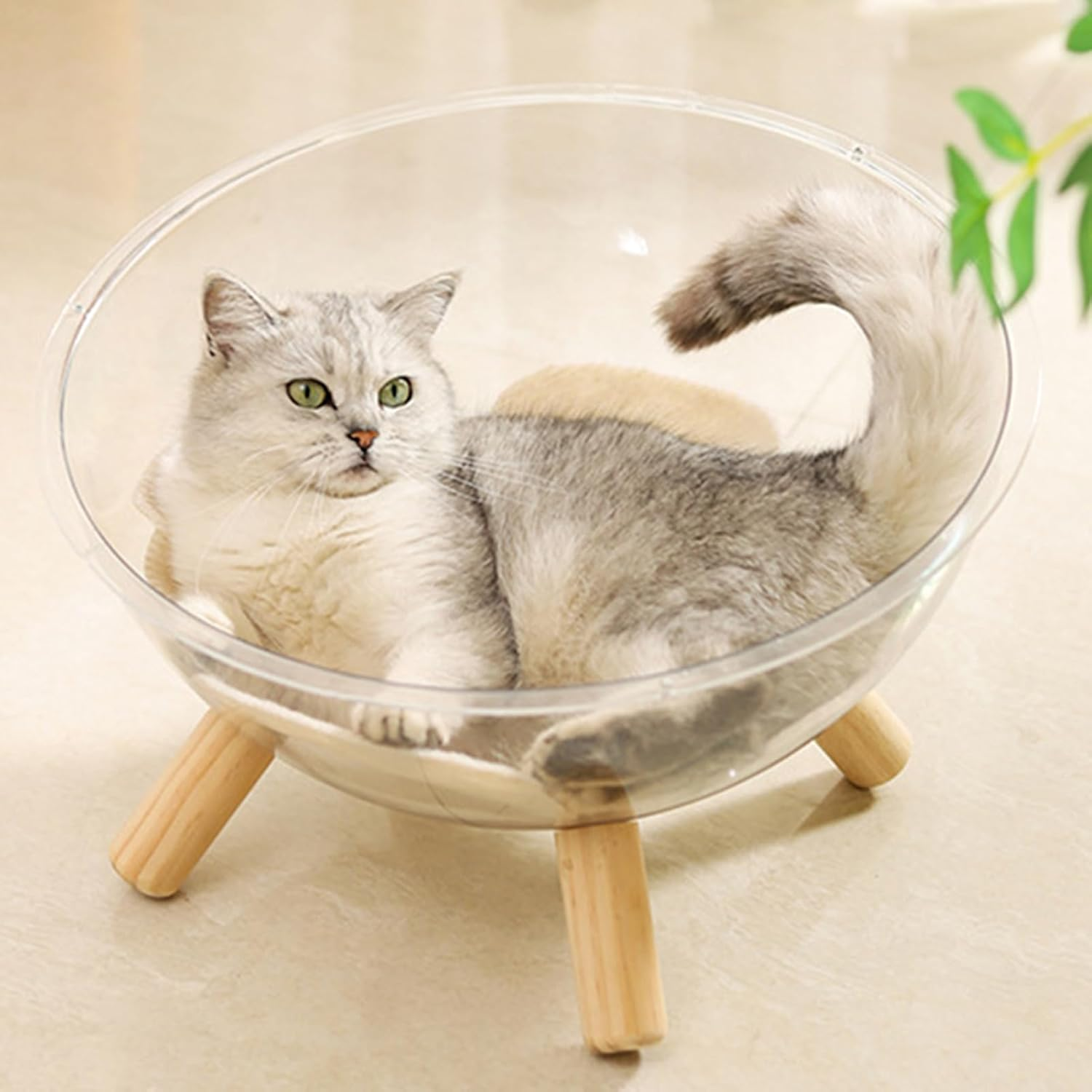 Pet Beds for Cats,Cat Sleeping Nest with Wood Base - Acrylic Clear Dome House Small Animal Supplies for Resting Sleeping Lounging Puppies Bunnies image number 4