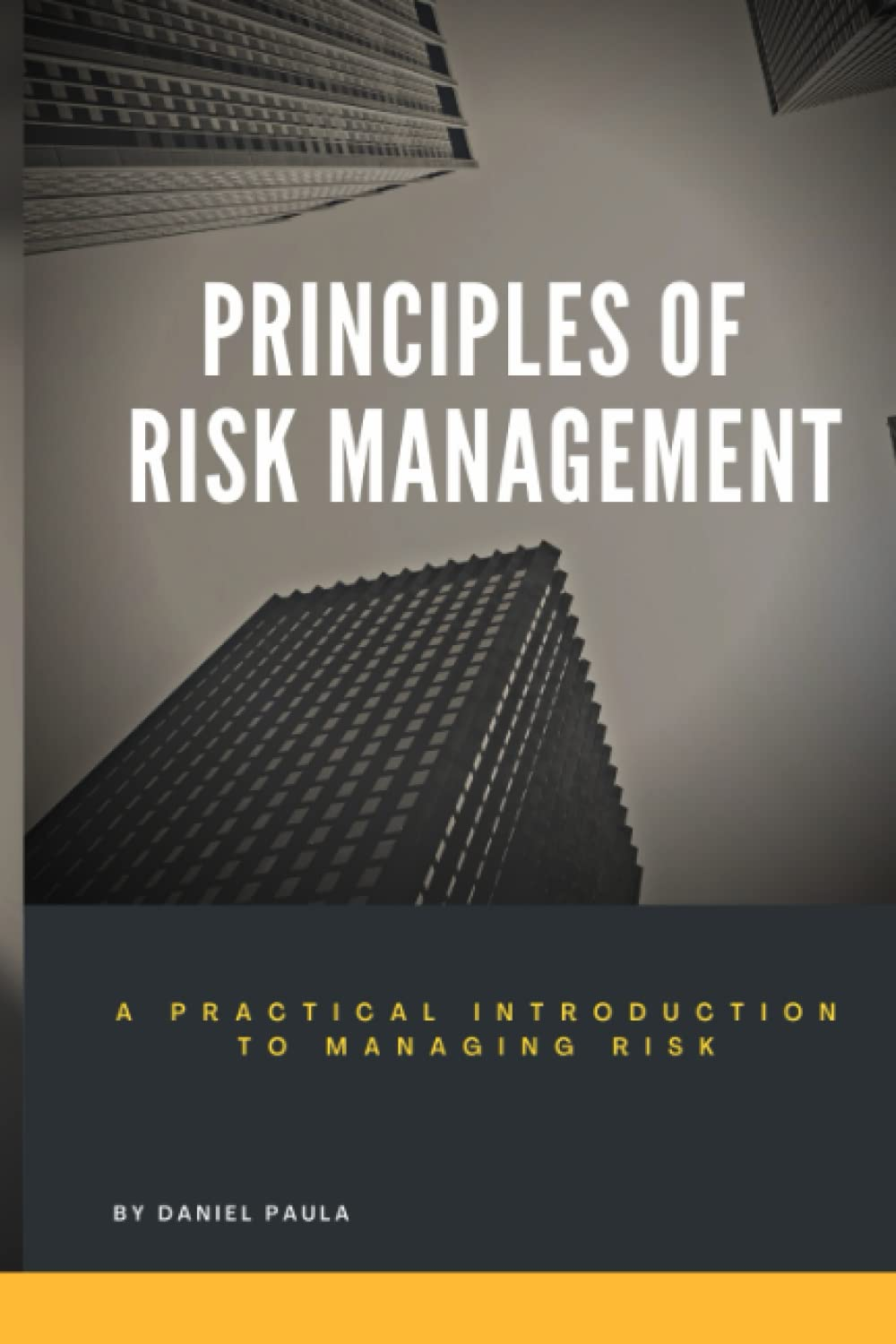 Principles of Risk Management: a Practical Introduction to Managing Risk | for Beginners
