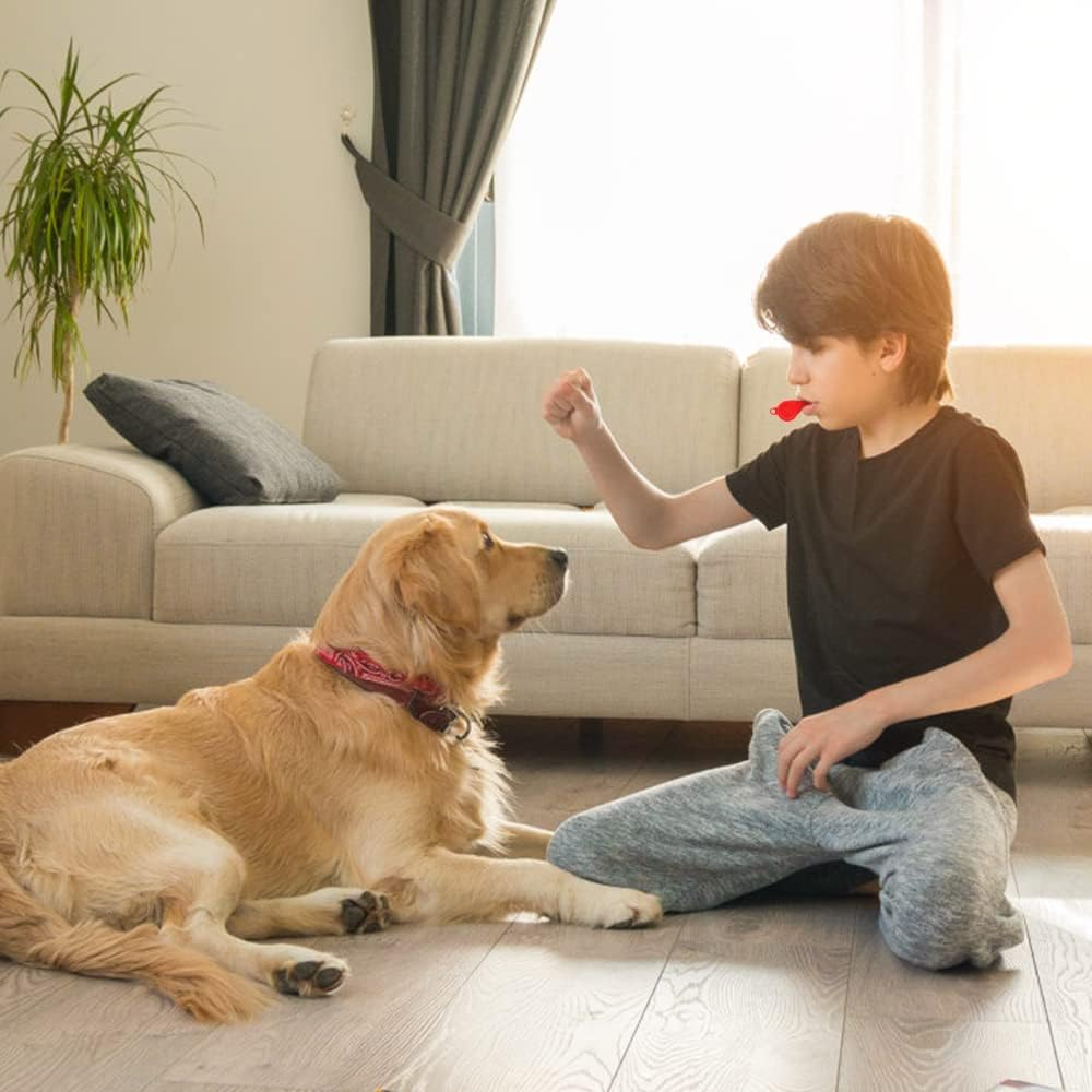 Vicloon Placstic Whistle, Referee Whistle, Whistles with Lanyards Sport Whistle Children'S Whistle for School Sports Training, Football, Security and Emergency Survival image number 4