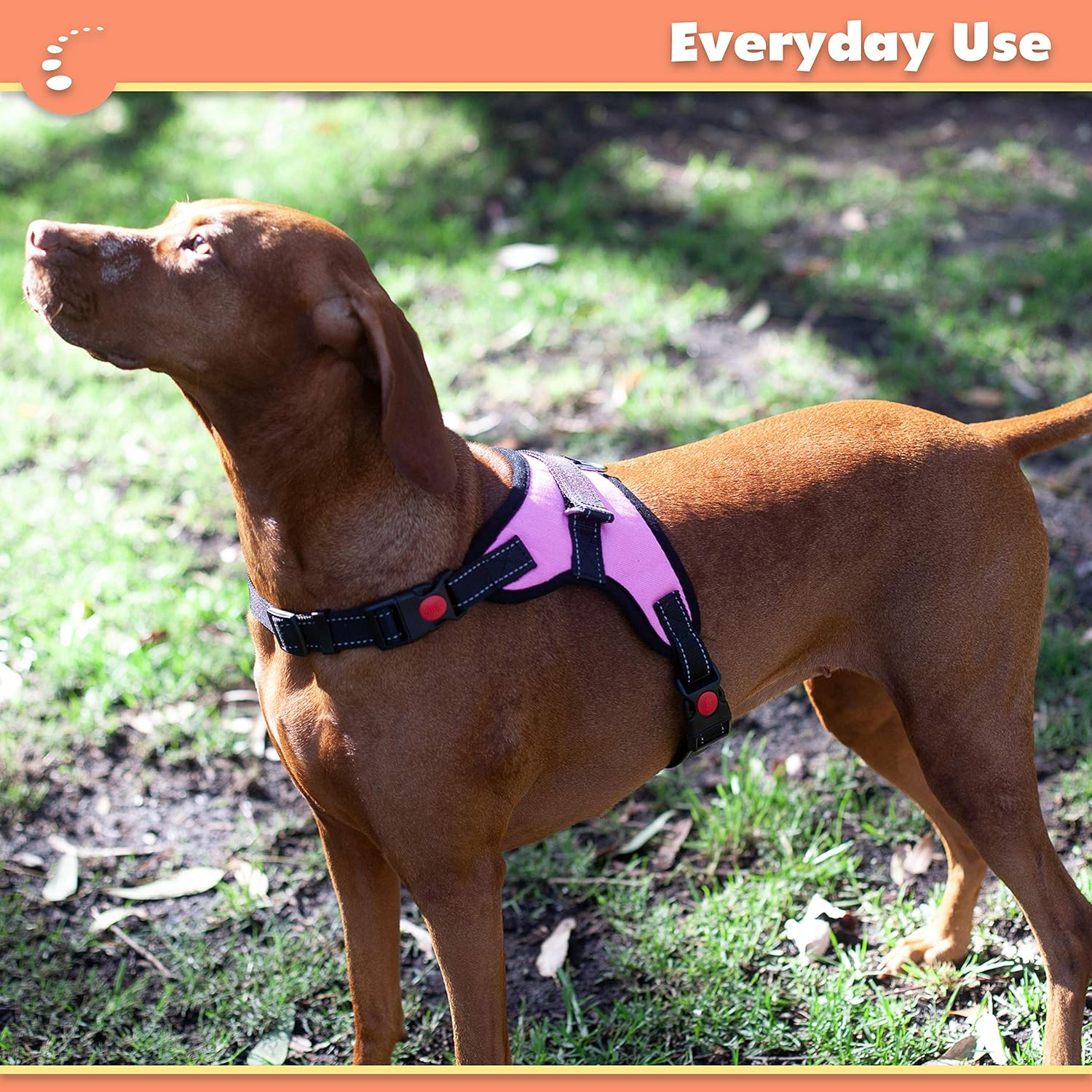 Zenify Pets Dog Harness - Chest Control Grab Adjustable Reflective for Medium Dogs (Pink, Medium)&hellip; - Black Medium image number 7