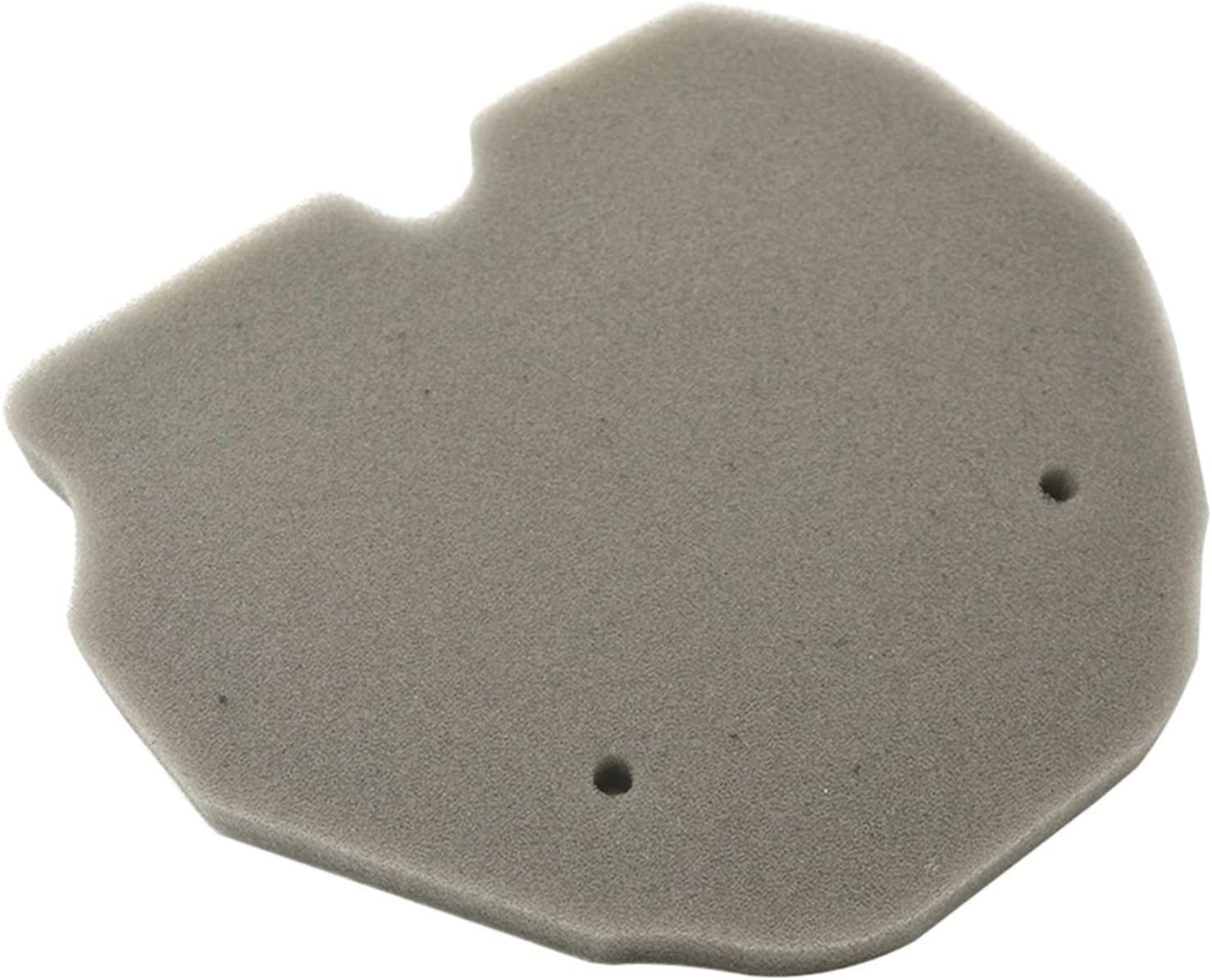 CAREG Cross Motorcycle Parts Air Filter Cleaner Compatible with Benelli BJ600GS BJ600 BJ300GS BJ300 TNT600 BJ 600GS TNT 600 GS 300 Durable image number 3