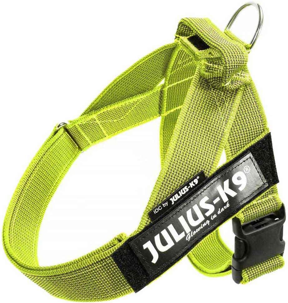 Julius-K9 IDC Color & Gray Belt Harness for Dogs, Size 1, Blue-Gray