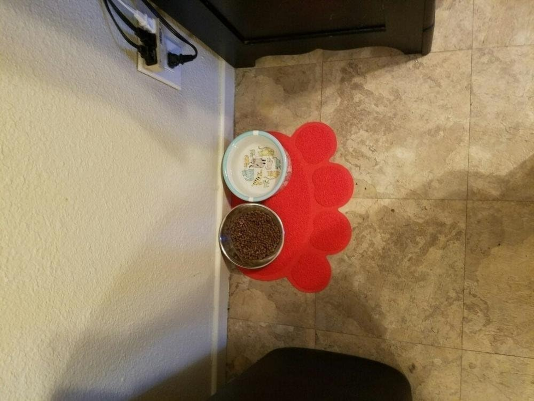 KINGCOO Dog Mat Pad, Cat Litter Tray Mattress, Pet Place Mat, Table Mat for Dogs and Cats, 30 X 40 Cm, Small Elastic PVC Paw Design (Red) image number 5