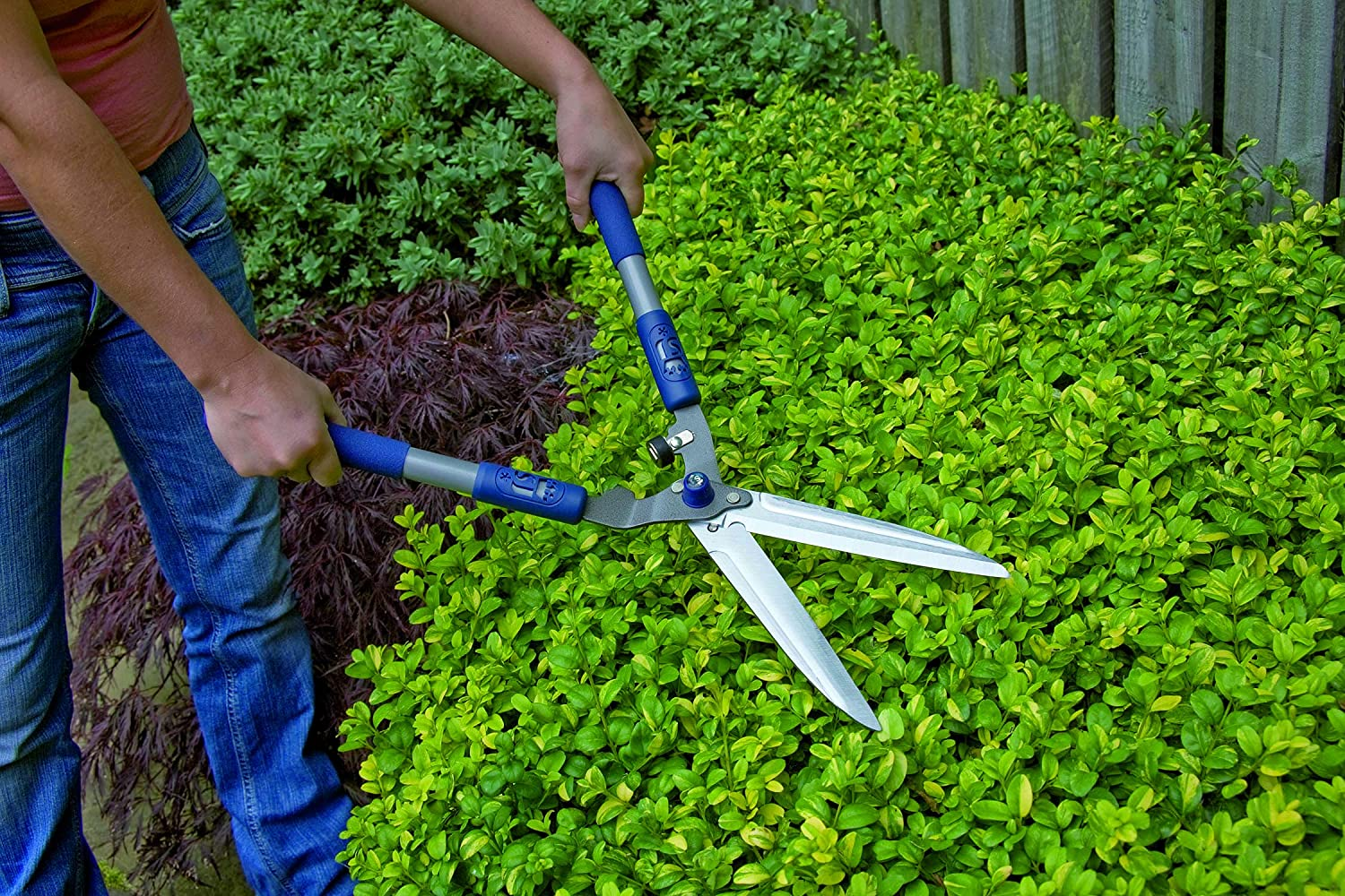 Spear & Jackson Hand Shears with Soft Grip Handle, Silver/Blue image number 4