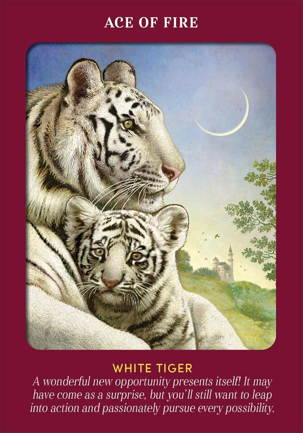 Animal Guides Tarot: a 78-Card Deck and Guidebook image number 5