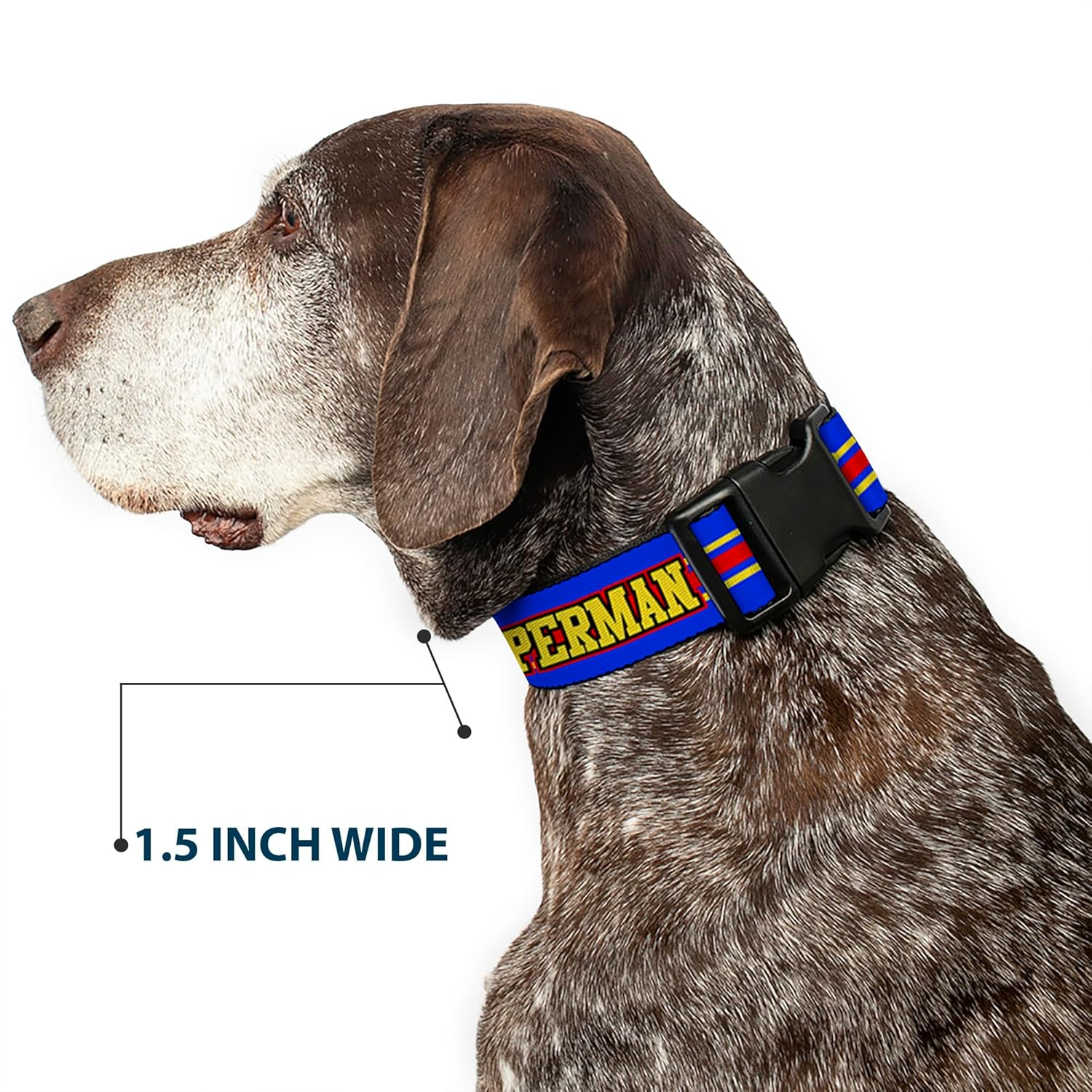 Buckle-Down Plastic Clip Dog Collar, Superman with Shield Stripe Blue/Yellow/Red, 15 to 26 Neck Size X 1.0 Inch Width image number 4