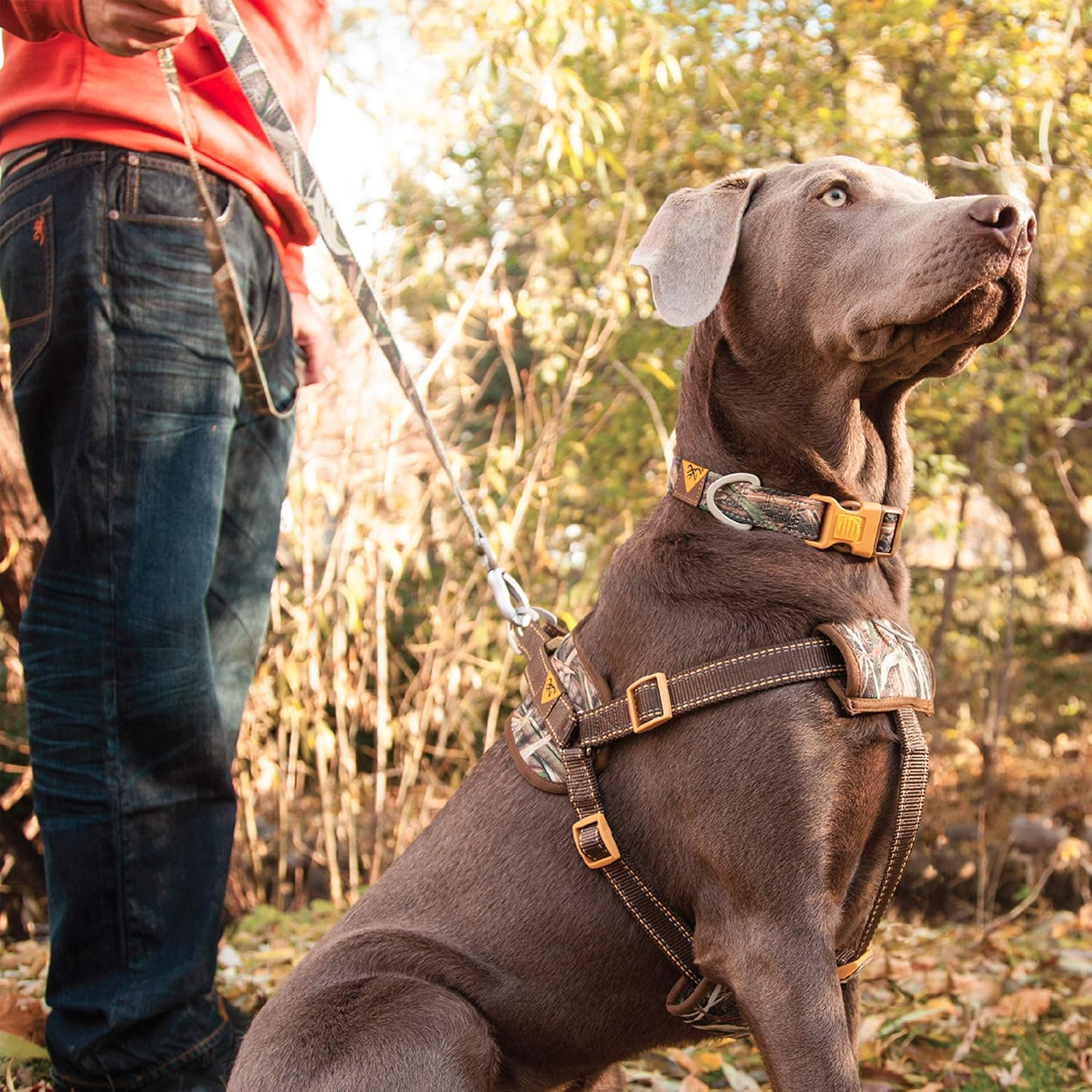 Browning Padded Dog Harness Hunting Dog Harness, Padded Straps, Camo, Shadow Grass Blades, Medium image number 3