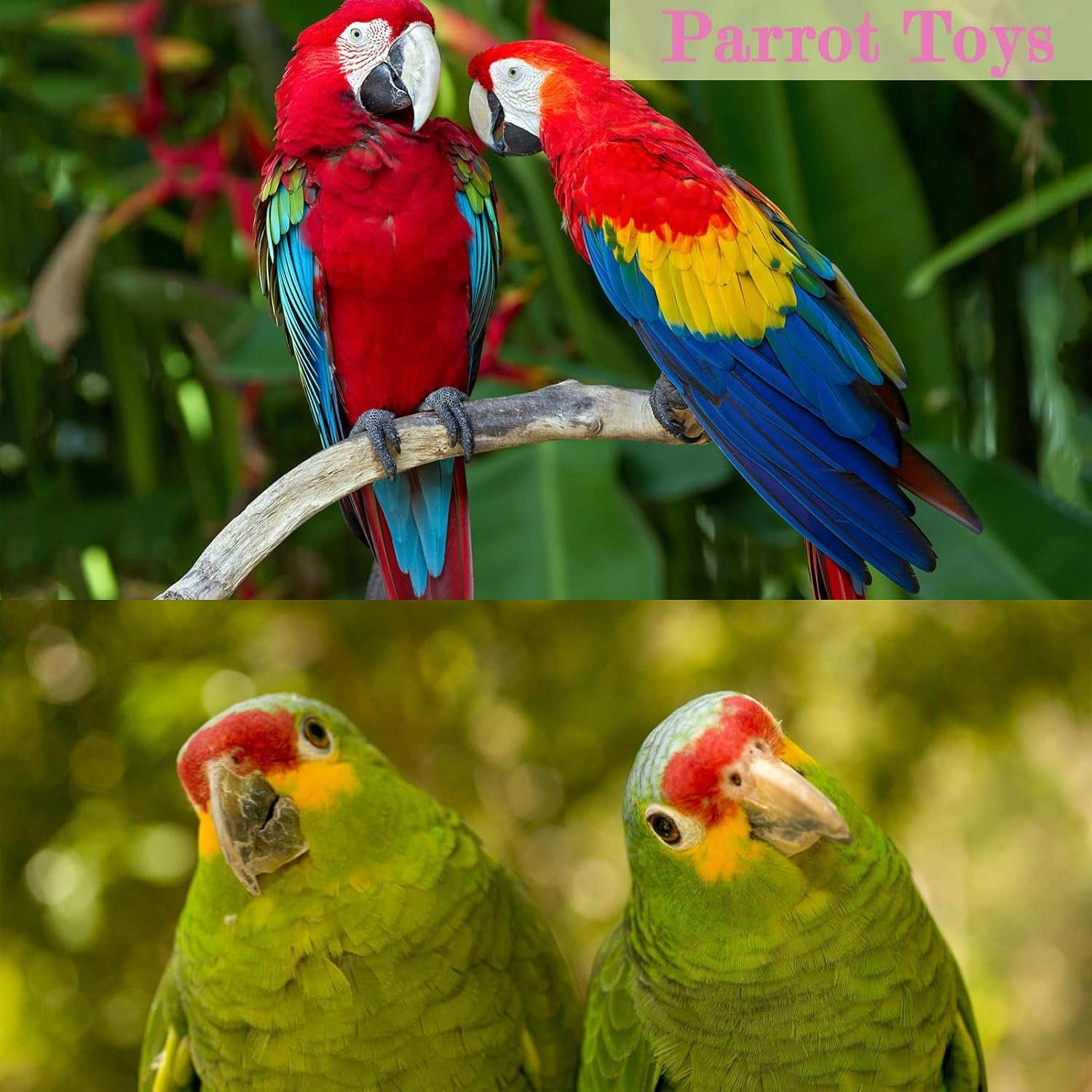 Bird Toys,17Pcs Parrot Toys,Parakeet Toys,Bird Ladder Swing,Hanging Cockatiel Toy for Parrots,Parakeet,Conure,Finches image number 5