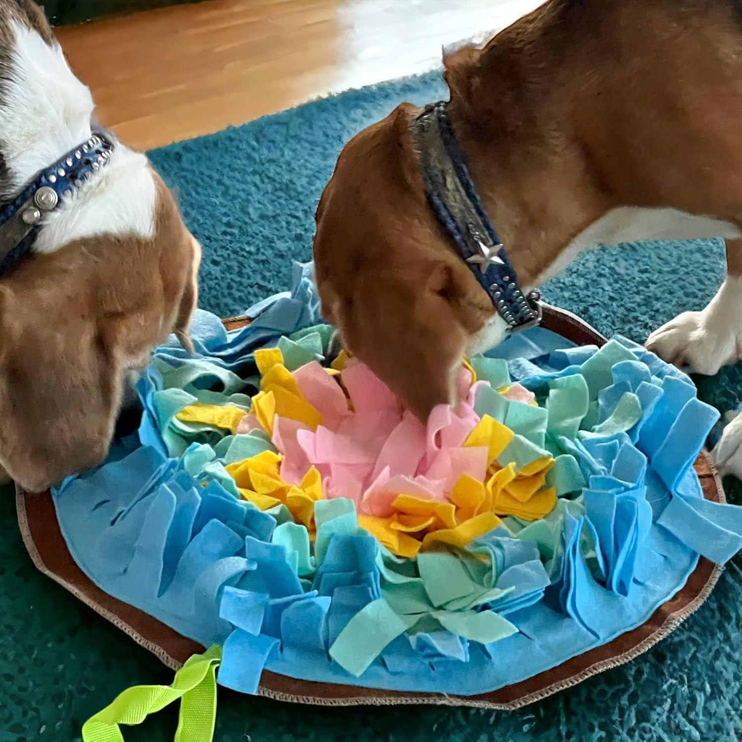 MIJOMA round Snuffle Mat for Dogs - Diameter 45 Cm Treat Rug & Dog Training Mat, Feeding Mat for Puppies, Non-Slip Silicone Nubs, Portable & Rollable Design, 8 Cm Long Felt Strips image number 1