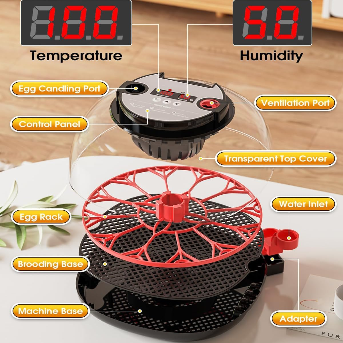 CLOUDSEASON Egg Hatching Incubator 12 Egg Capacity with Automatic Constant Temperature Humidity Control & Auto Egg Turning for Chickens Ducks Geese Quail Pigeons (European Plug) image number 3