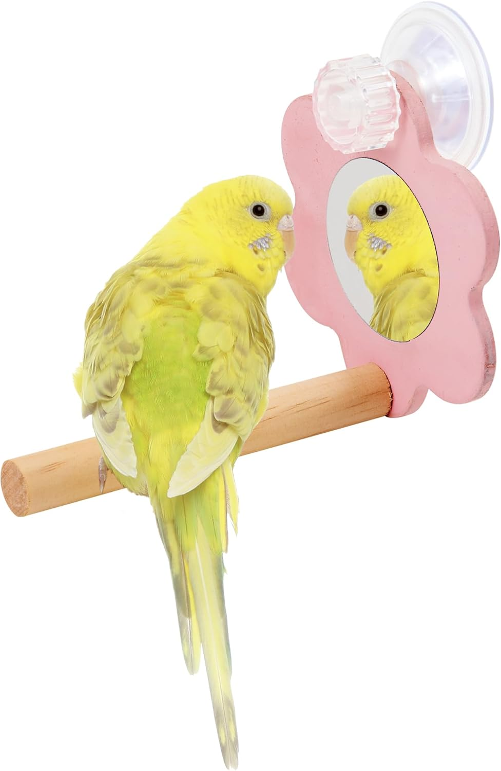 Minimalland Bird Carnival Anywhere Perch Mirror image number 2