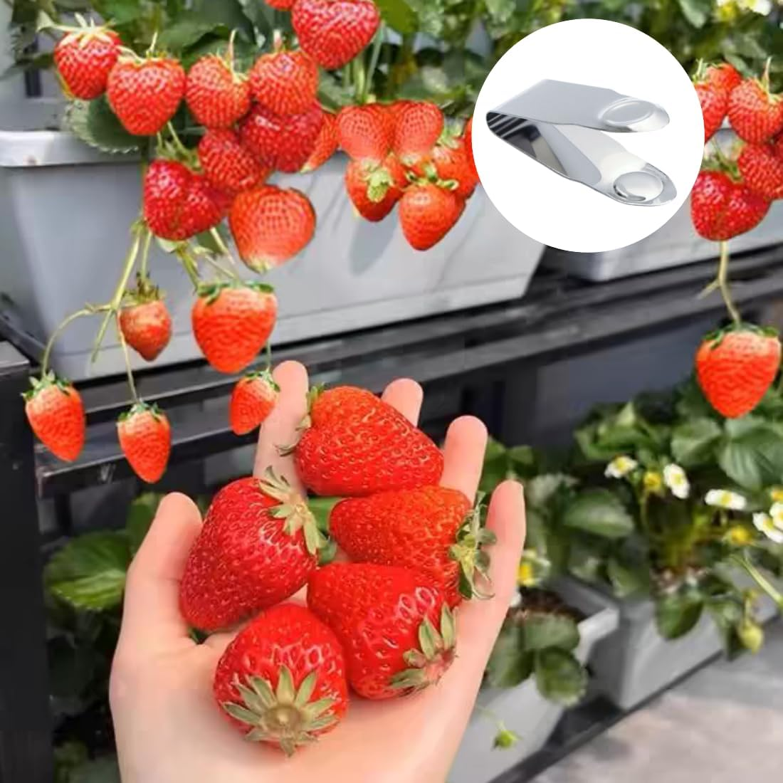 Stainless Steel Strawberry Huller Fruit Stem Remover Home Kitchen Tools for Cherry Tomato, 2.8 * 1,Silver, 2Pcs image number 6