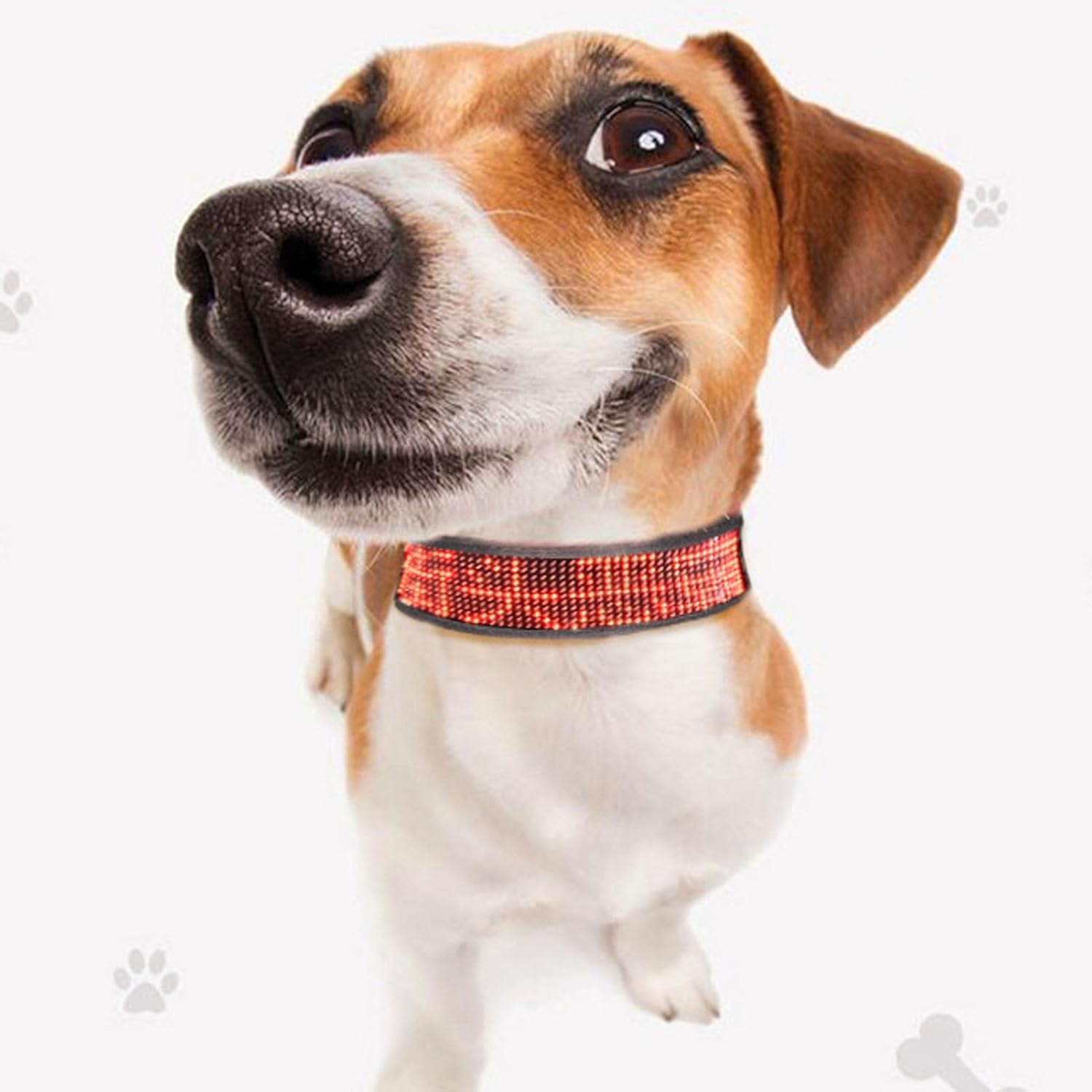 Programmable LED Collar with Connection, Rechargeable, Stylish Design, High Visibility Compatible with for Ios for Android, App Programmable (Red) image number 2