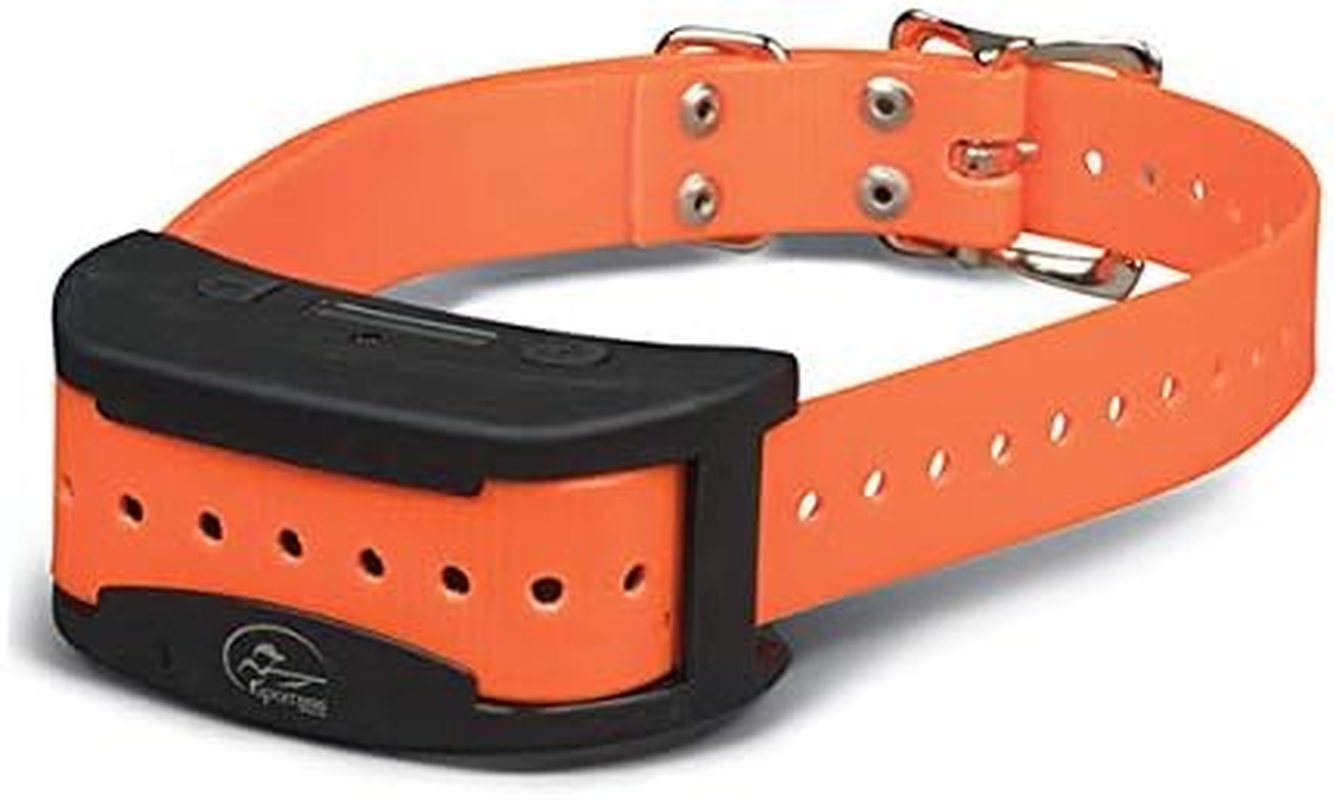 Sportdog Additional Dog Collar image number 2