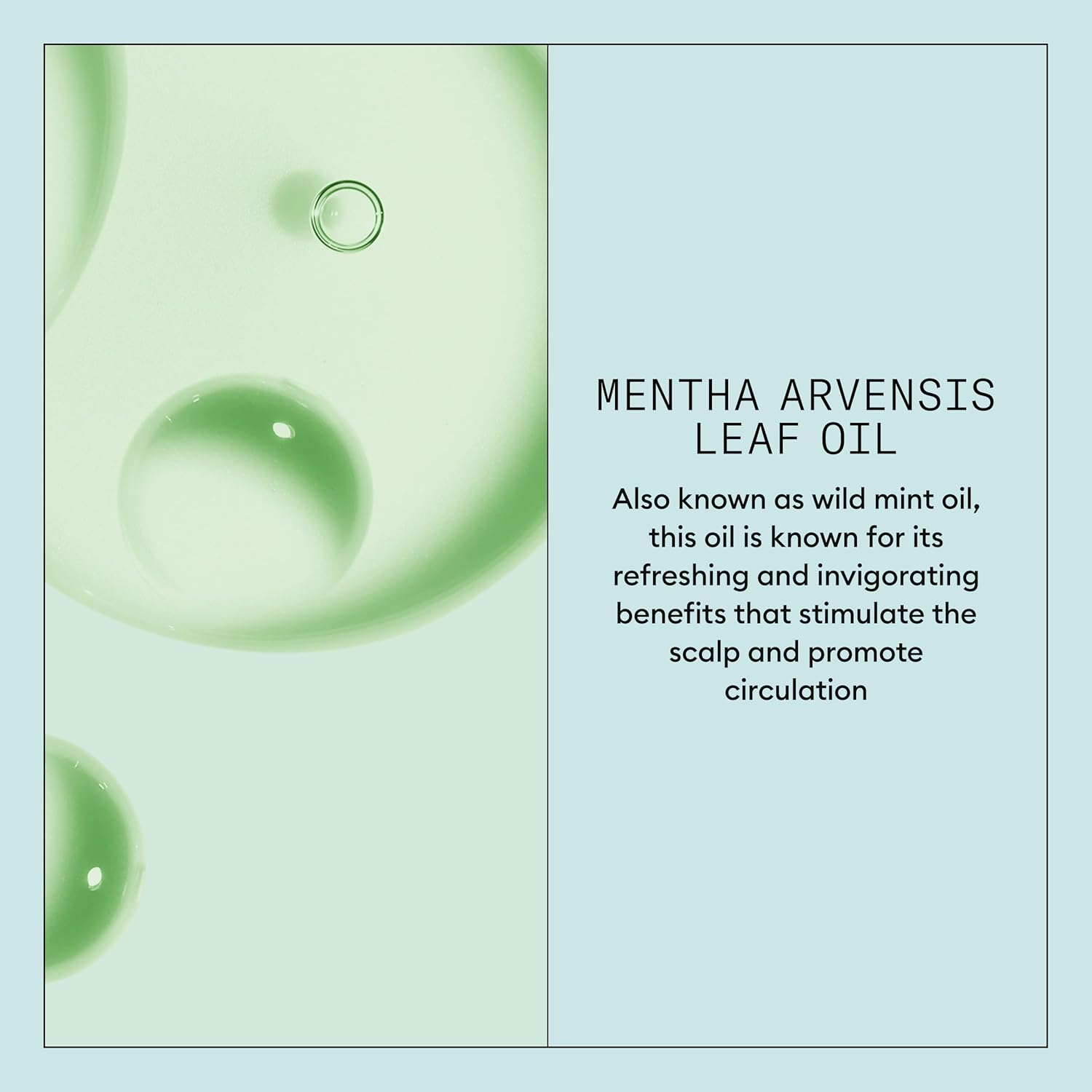 Nioxin Scalp Recovery Purifying Shampoo - Shampoo for Dandruff and Itchy Scalp, 1000Ml image number 2