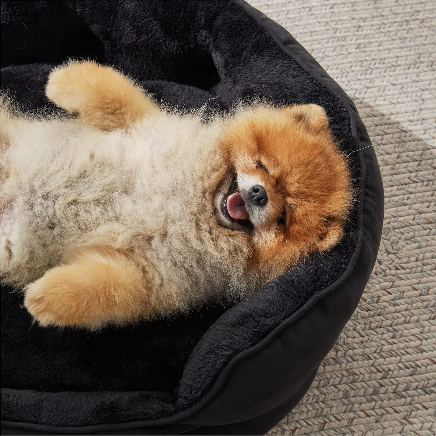 Bedsure Small Dog Bed Washable - Large Cat Beds for Indoor Cats and Puppy, round Dog Bed Sofa for Medium Dogs with Slip-Resistant Bottom, Black, 63X53X20Cm image number 5