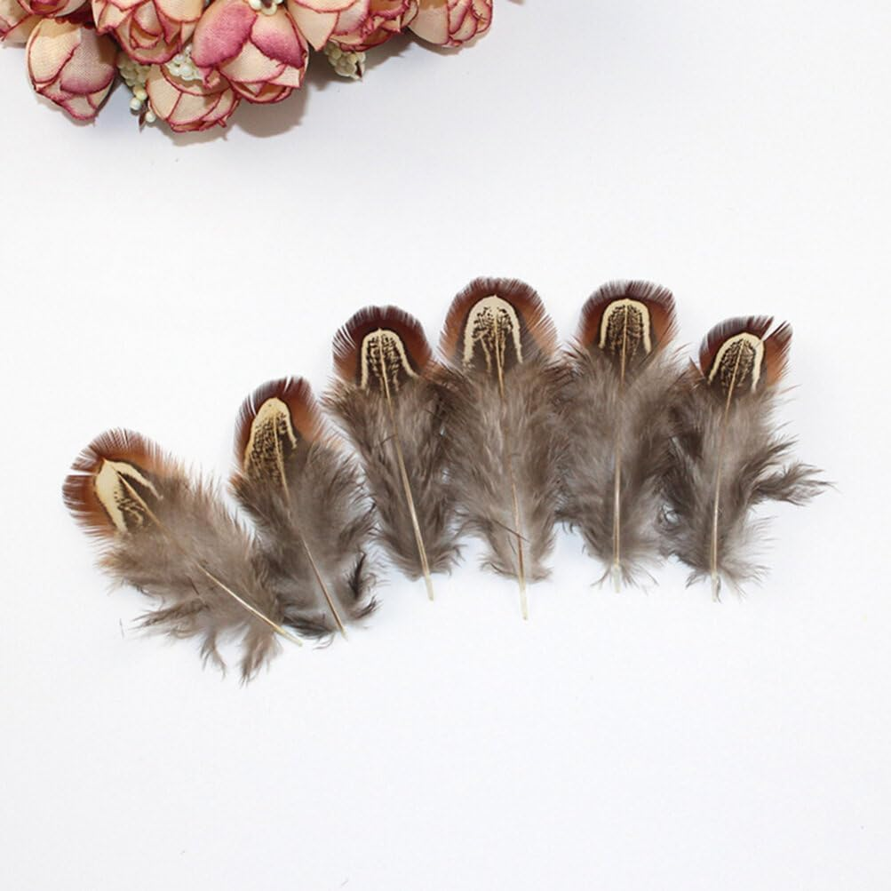 Tofficu Feathers Natural Crafts : Feathers for Crafting - Pheasant Feathers for Dream Catcher DIY Craft Projects image number 1