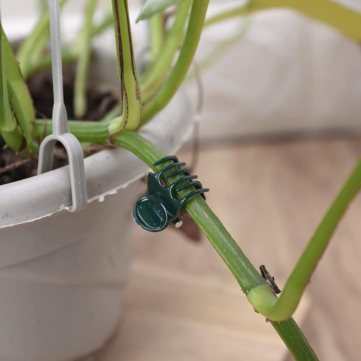 Accencyc 100 Pcs Plant Clips Orchid Clips Plants Orchid Support Clips Flower Vine Clips for Supporting Stems Vines Stalks Climbing Plant Grow Upright image number 2