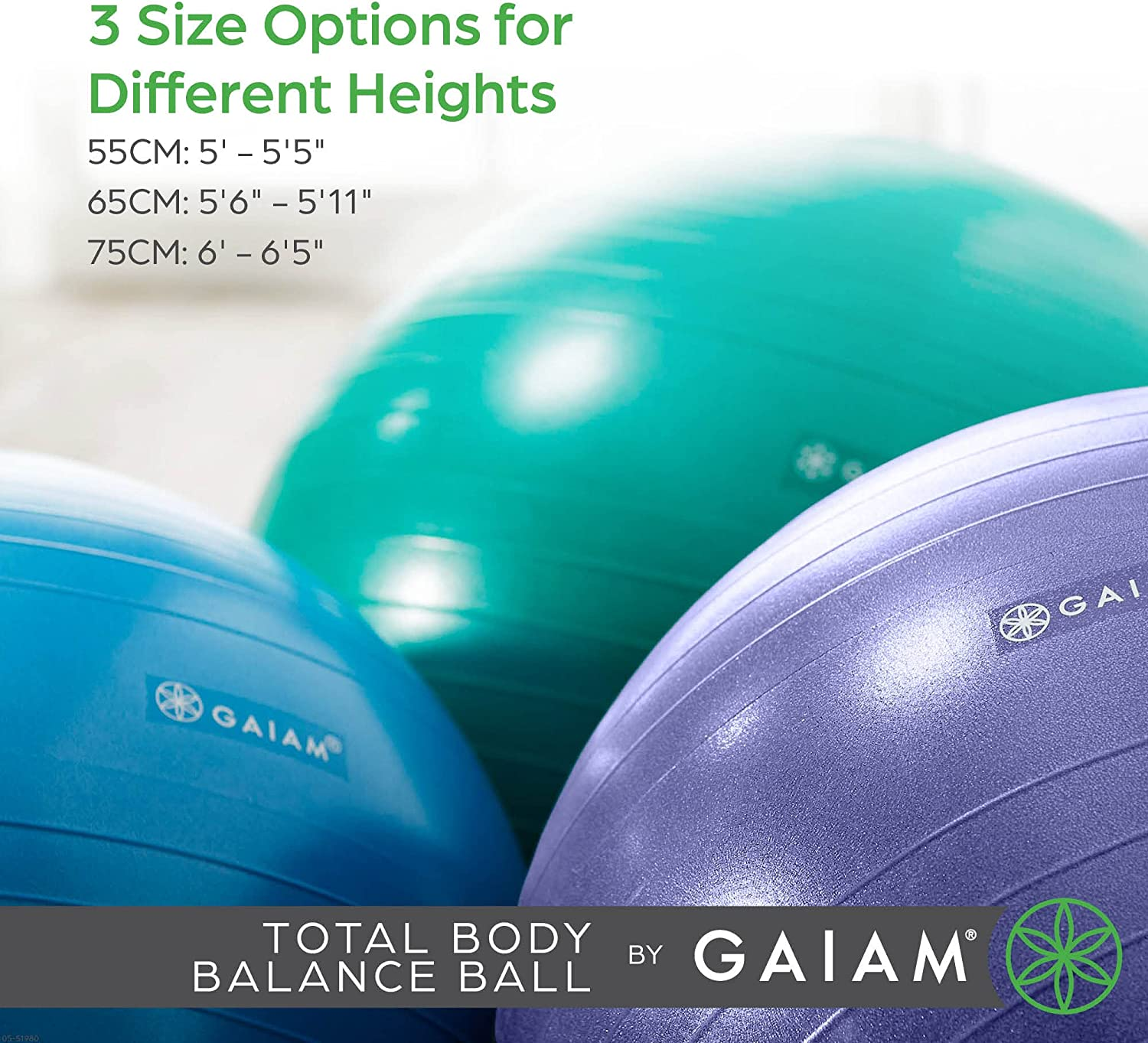 Gaiam Total Body Balance Ball Kit - Includes Anti-Burst Stability Exercise Yoga Ball, Air Pump, Workout Program image number 2