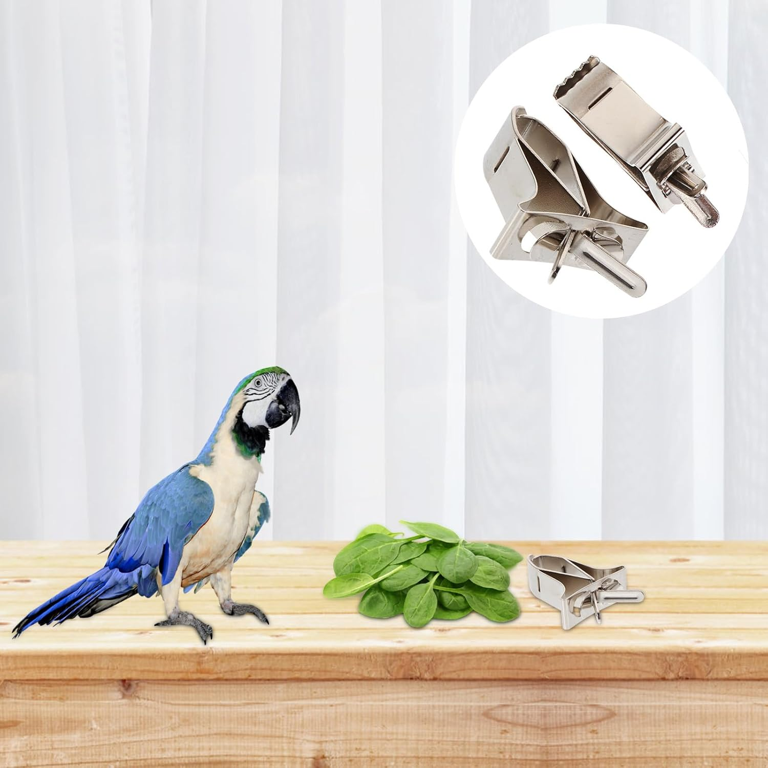 INOOMP 2Pcs Stainless Steel Clamps for Birds Vegetable Clips for Bird Cage Fruit Clips for Pet Parrot Multi-Function