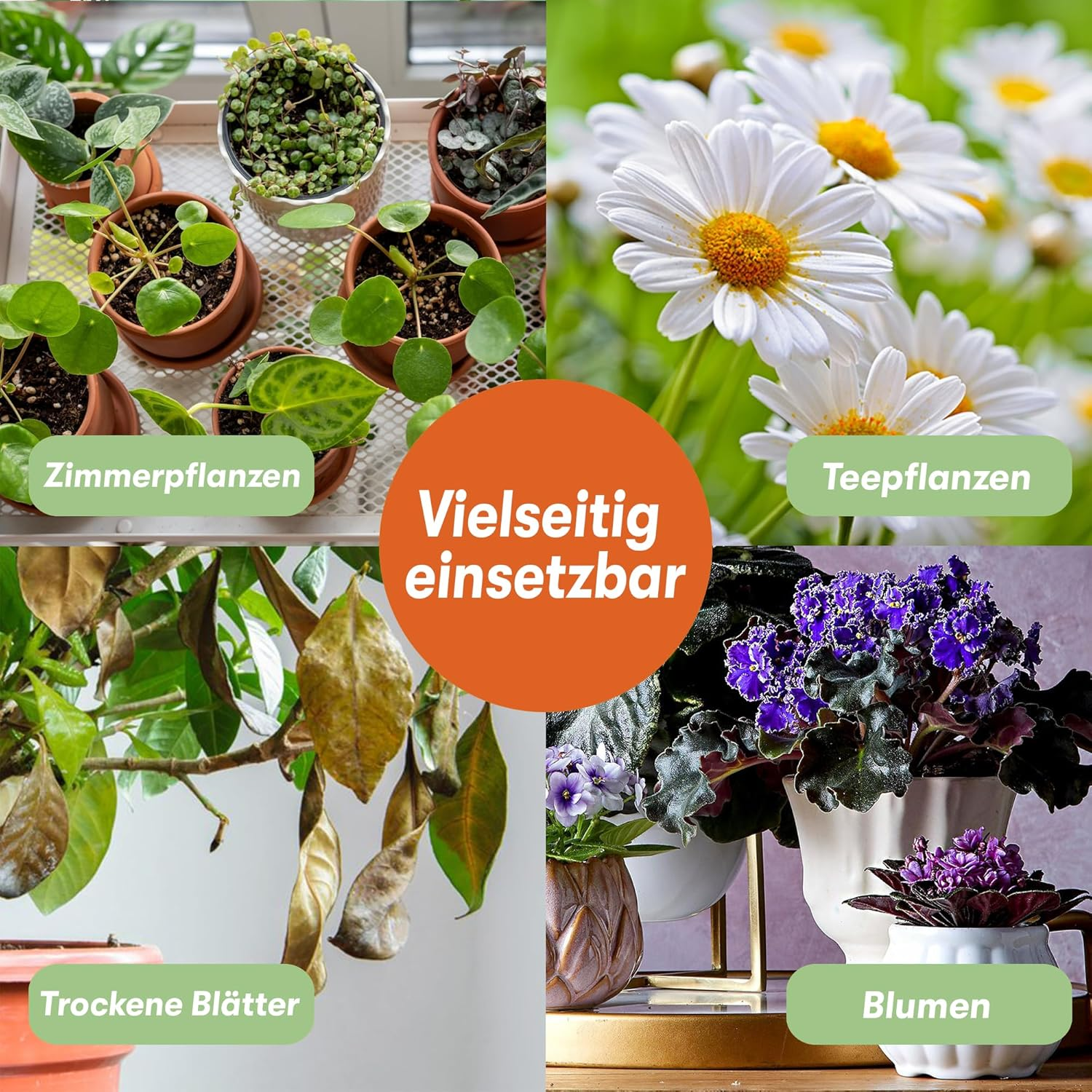 3-Piece Mini Secateurs Set - Sharp Stainless Steel Scissors for Plant Care and Fine Work - Ideal for Pruning Grow Buds, Leaves and Thread Cutters - Versatile and Precise (Black) image number 4