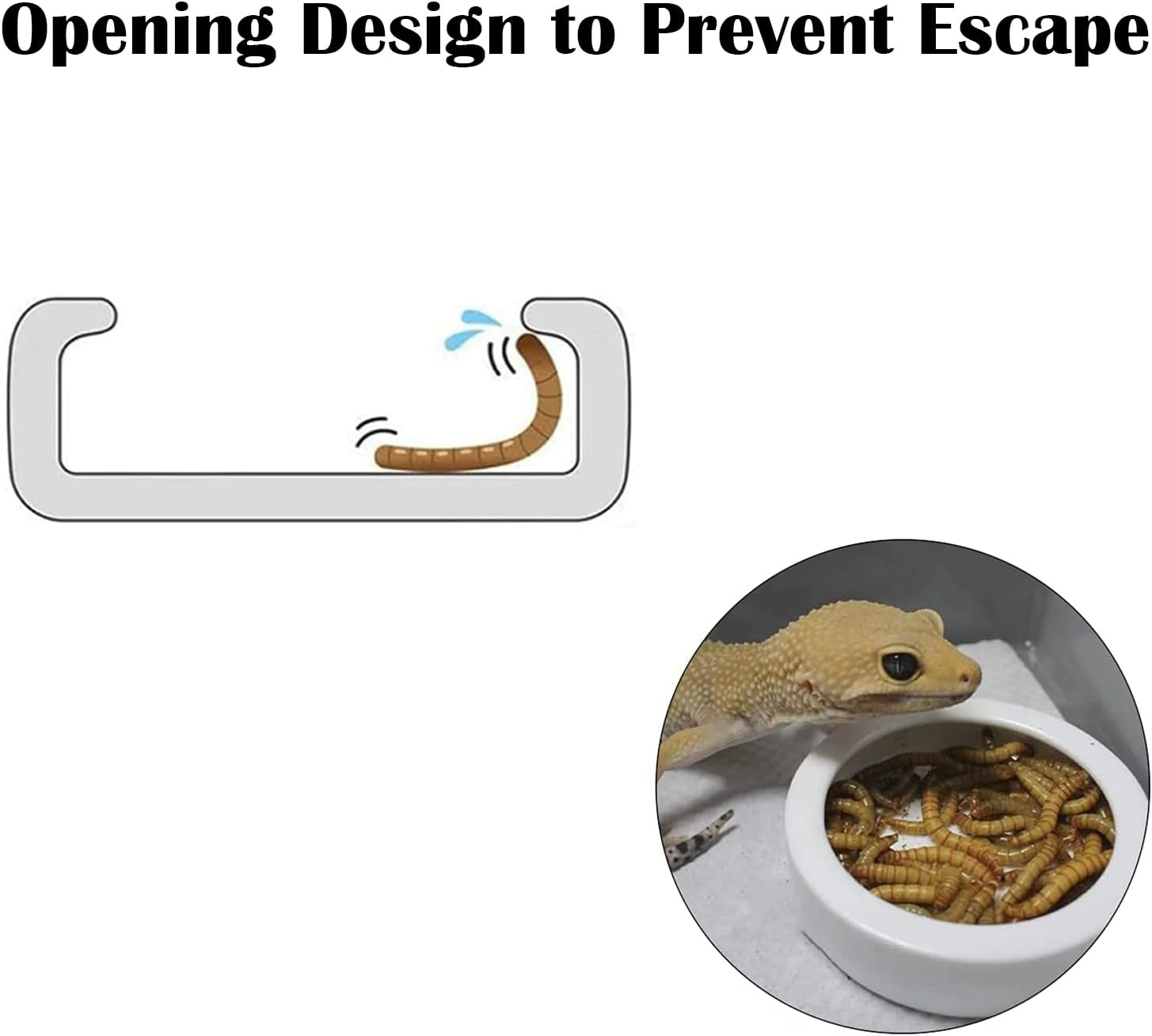 Ihomeset 3 Pcs Reptile Food Bowl with Feeding Tongs, Ceramic Water Feeder Bowl for Lizard Anoles Bearded Dragons Crested Gecko Hermit Crabs Triangular, White, 2.7 Inch image number 4