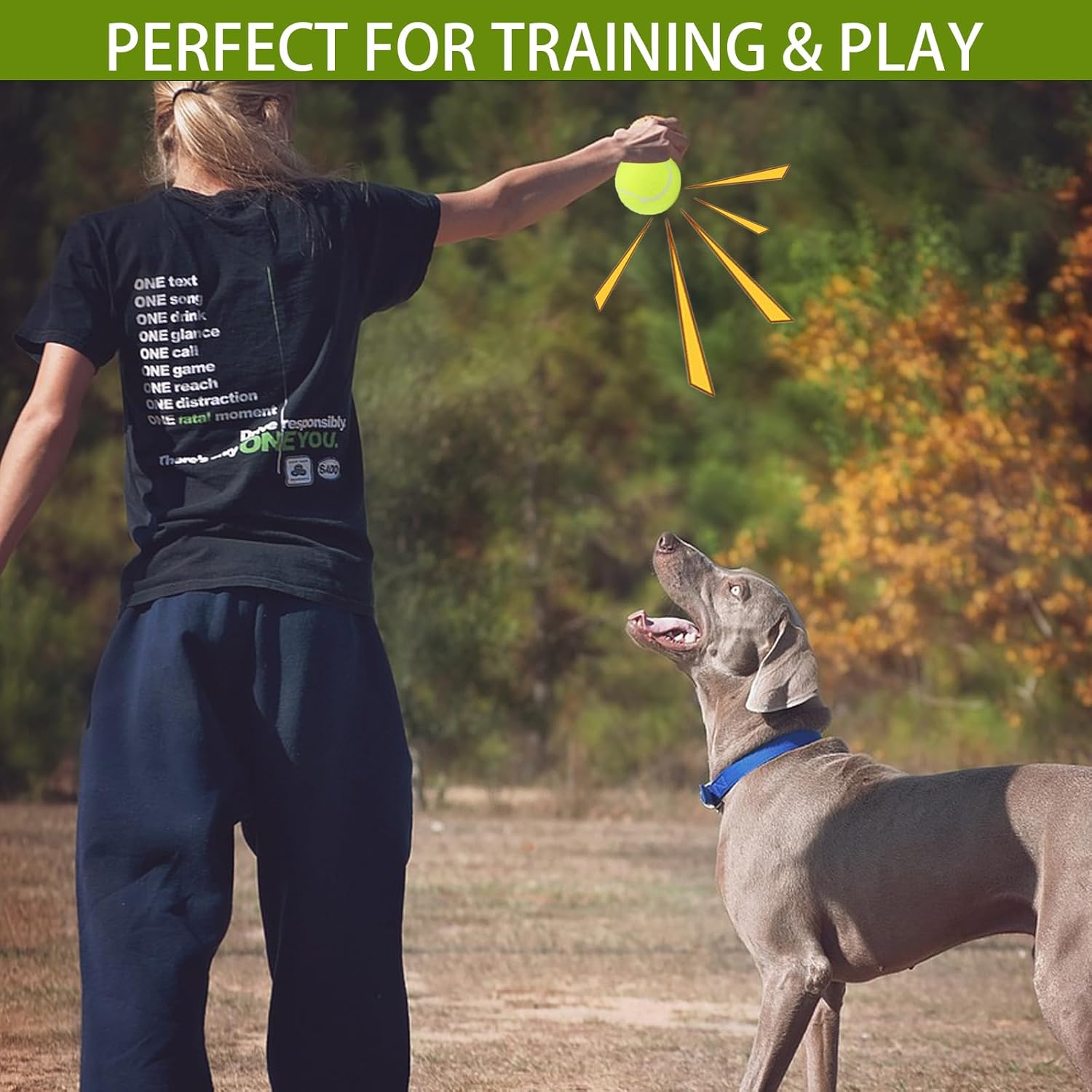 Magicorange Dog Tennis Balls, 20 Pack 2.5 Inch Floatable Squeaky Tennis Balls for Fetch Exercise, Natural Rubber Squeaky Dog Balls Training Safe (Multicolor, 2.5Inch) image number 3