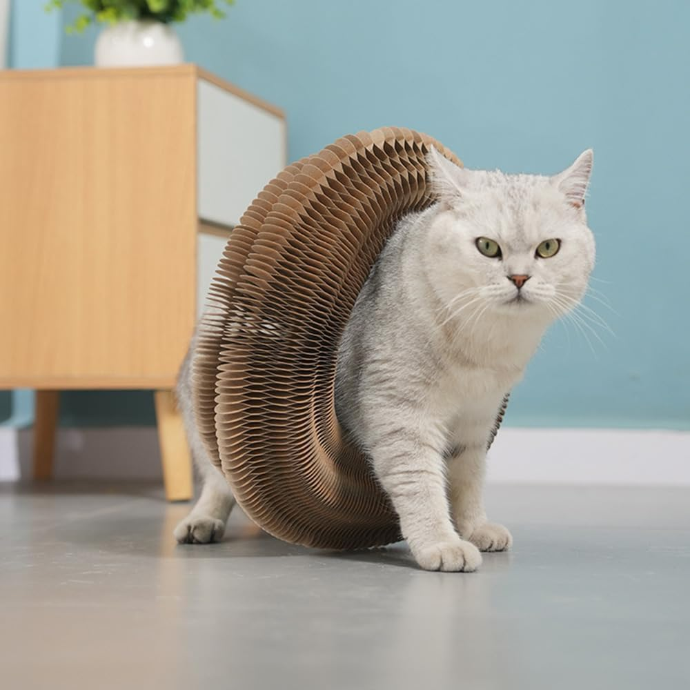 Kitten Curl Toy, Magic Organ Cat Scratcher Board, Kitten Curl Cardboard Cat Toy, Foldable Cat Scratching Board, Cardboard Cat Toys, Interactive Scratch Pad Cat Toy with Toy Bell Ball