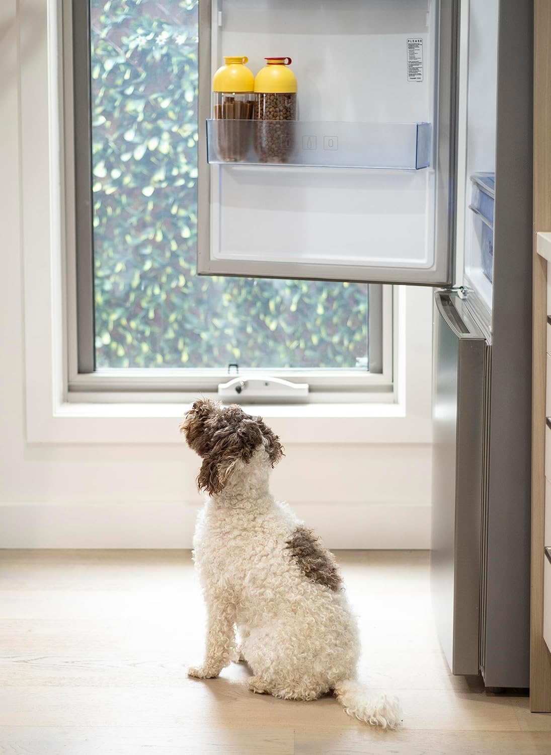 Locknlock Pet Fridge Storage Container, 1 Litre Capacity image number 1