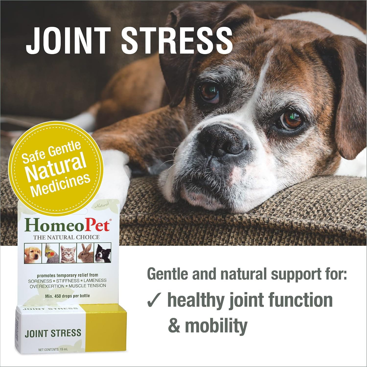 Homeopet Joint Stress, Joint Support for Dogs and Cats, Liquid Pet Meds to Support Healthy Joint Movement, 15 Milliliters image number 3