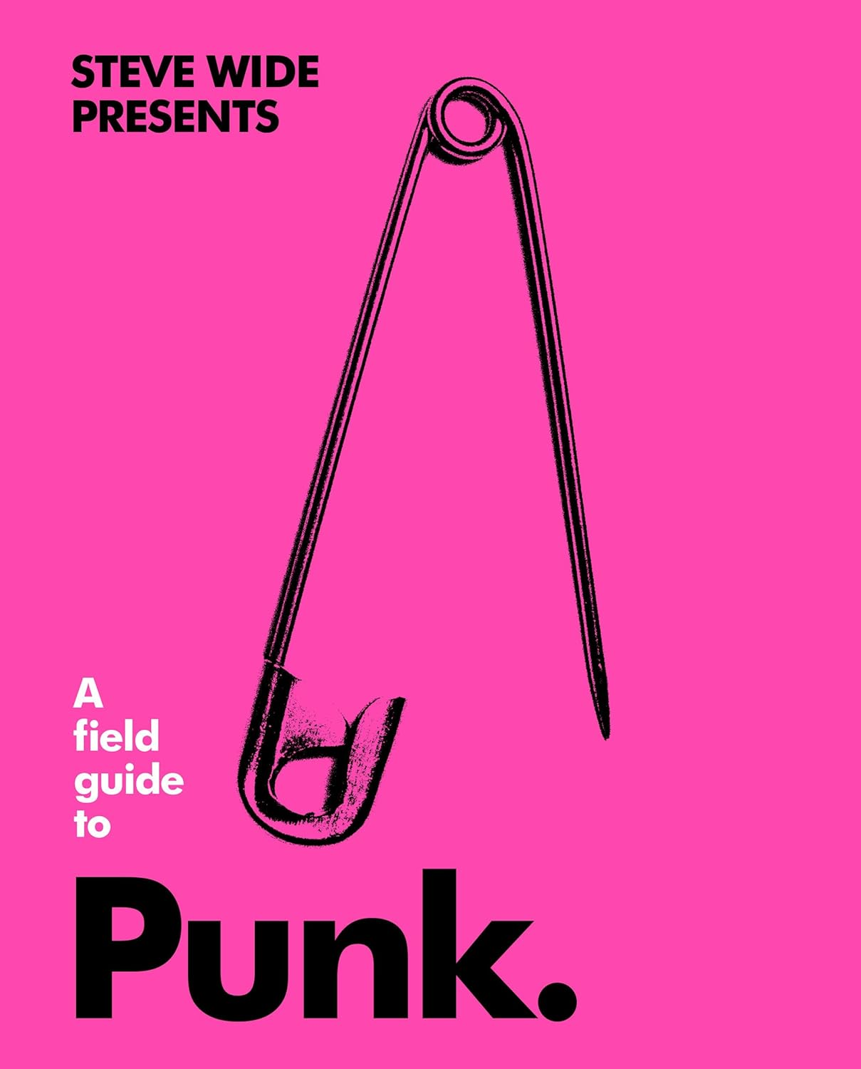 A Field Guide to Punk image number 2