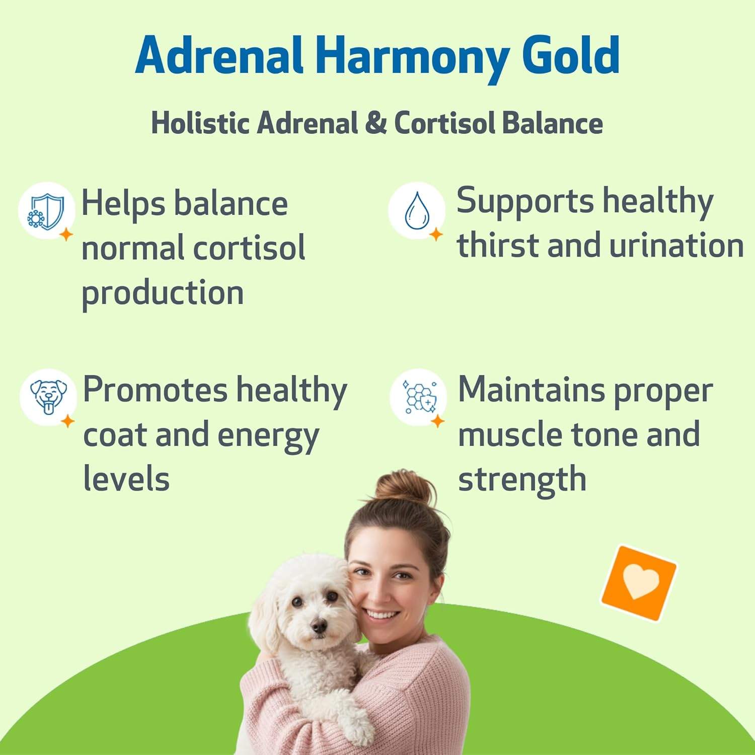 Pet Wellbeing Adrenal Harmony Gold for Dogs - Vet-Formulated - Adrenal Gland Supplement for Dogs, Ashwagandha, Astragalus, Bacopa, Holy Basil - Herbal Supplement &ndash; 4 Oz (118 Ml) image number 2