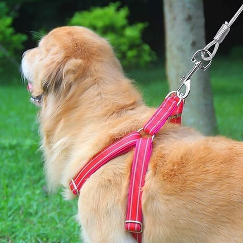 Dog Lead for Large Dogs Dog Lead with Spring Yard Lead for Large Dogs Tie-Out Leads for Dogs Tie Out Cables Tie-Out Leads Yard Lead for Dogs for Small Medium or Large Dogs image number 2