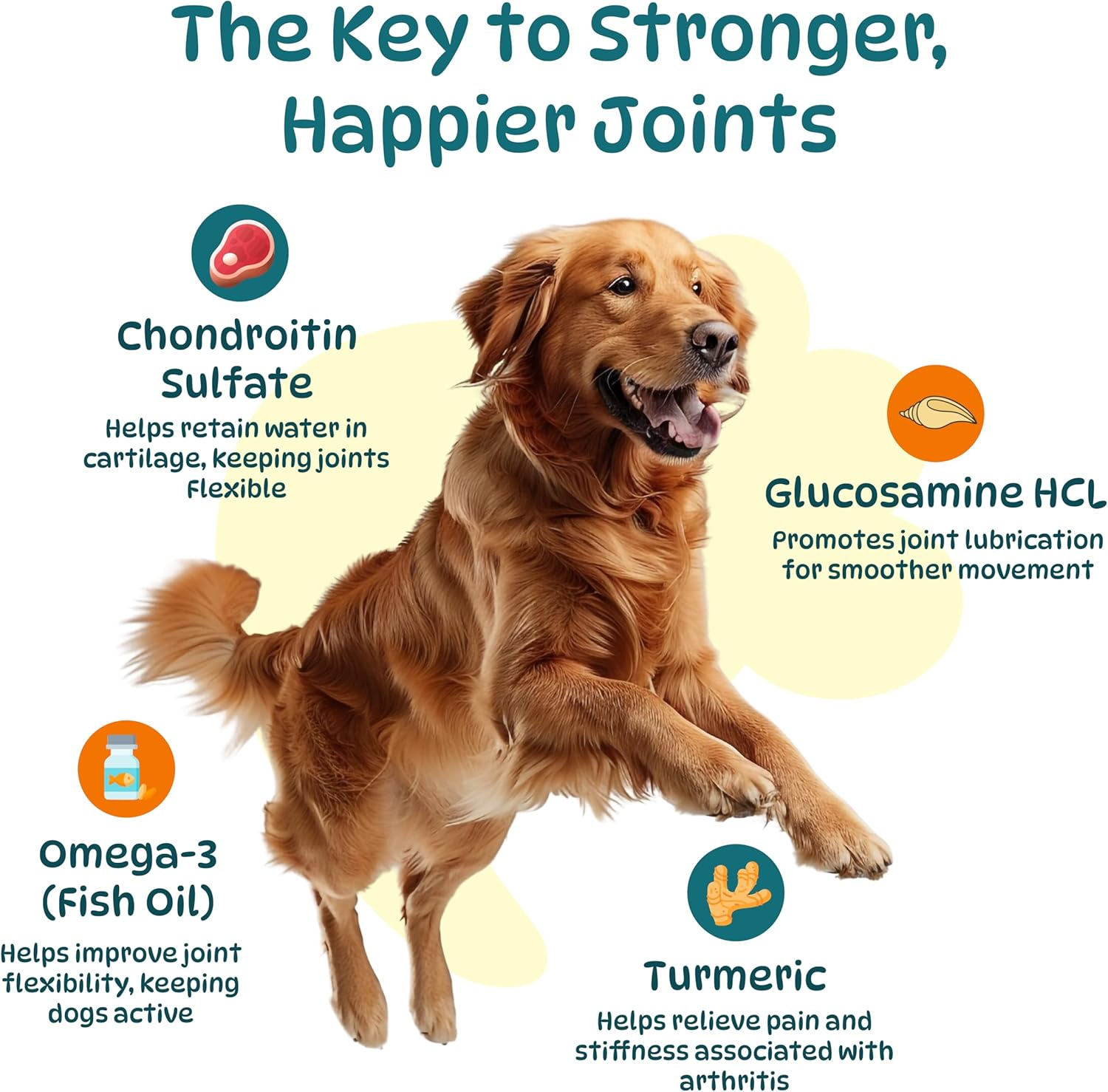 Dog Hip and Joint Supplements, Glucosamine Chondroitin & Green Lipped + Omega-3 & Turmeric + MSM, Treats Improve Joint Function & Mobility in All Ages (Chicken Flavour 100 Chews) image number 1