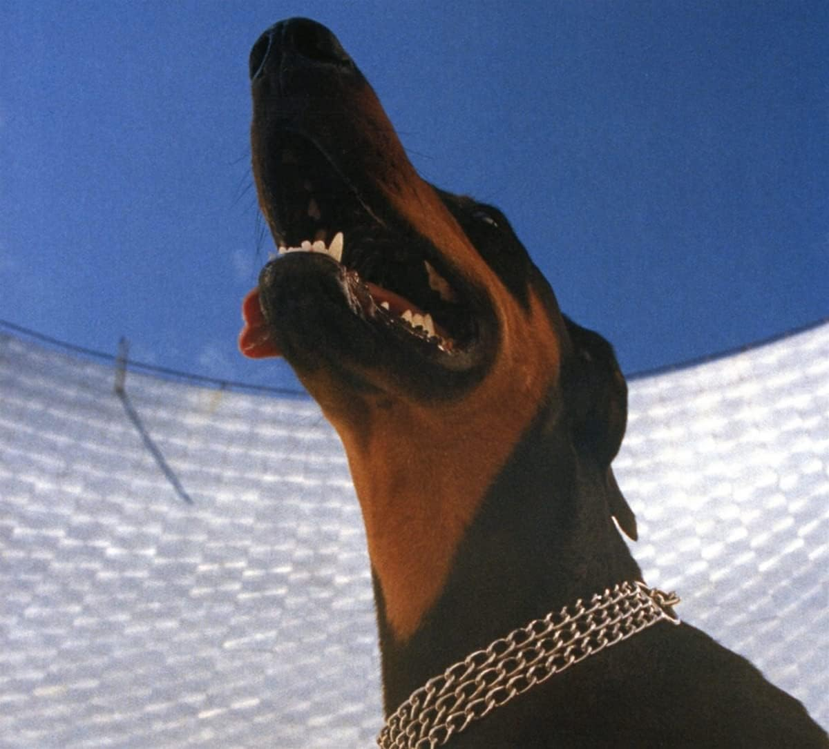 Good Lies image number 1