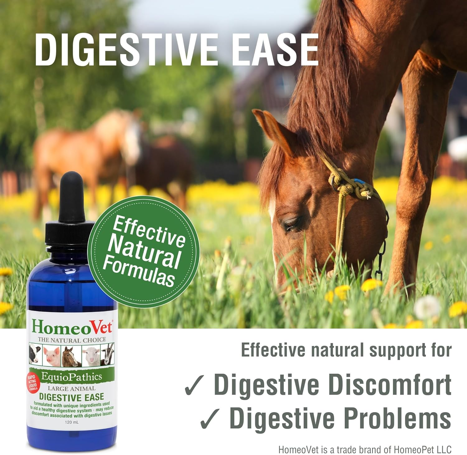 Homeovet Equine Digestive Ease 120 Ml - for Minor Digestive Upsets in Horses an All Natural Digestion Aid for Horses to Maintain a Well Balanced System for Equine Intestinal Health image number 2