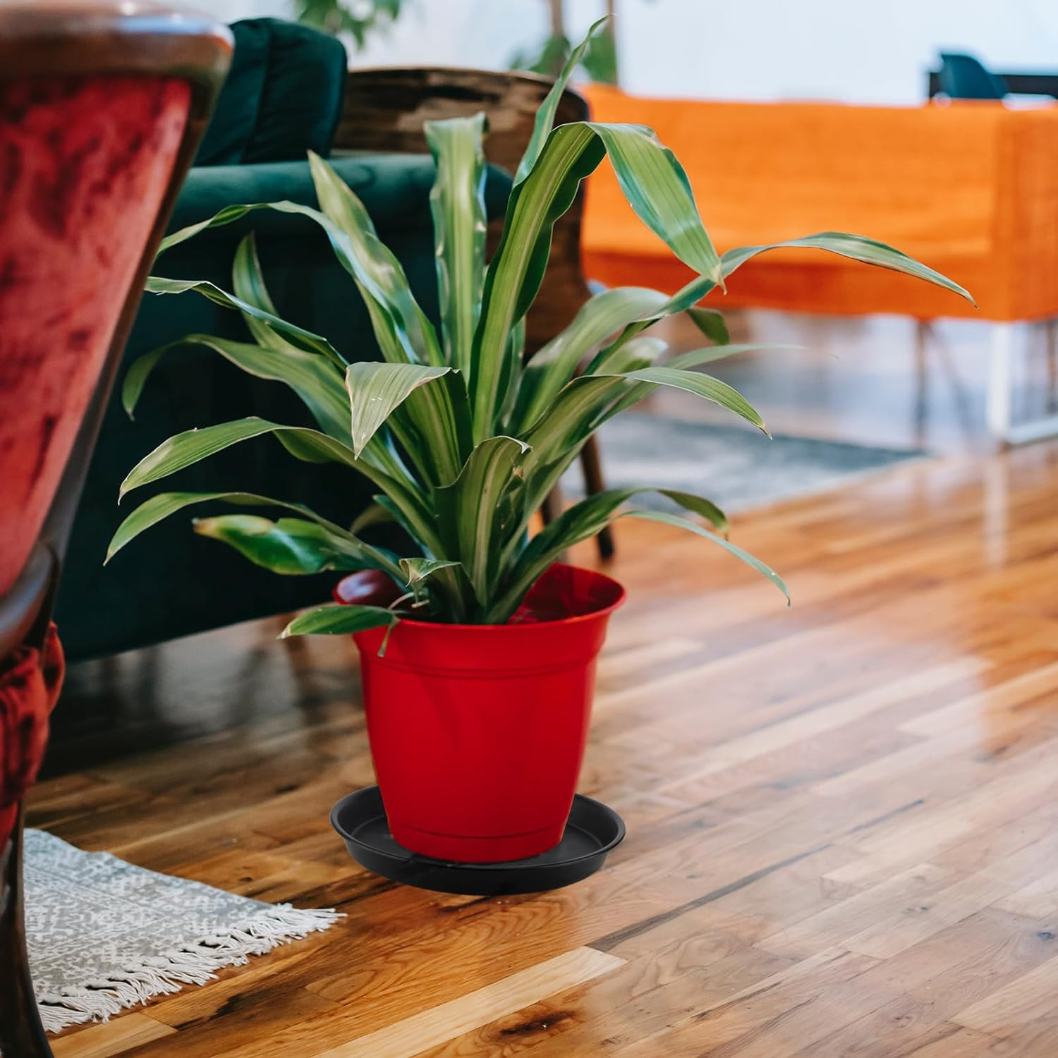 18 Pack Plant Saucers,Flower Pots Urable Thicker Plastic Plant Trays for Indoors and Outdoor, Plastic Plant Pots Plant Saucer Drip Trays (15CM/ 20CM/25CM, Black,White,Brown) image number 3