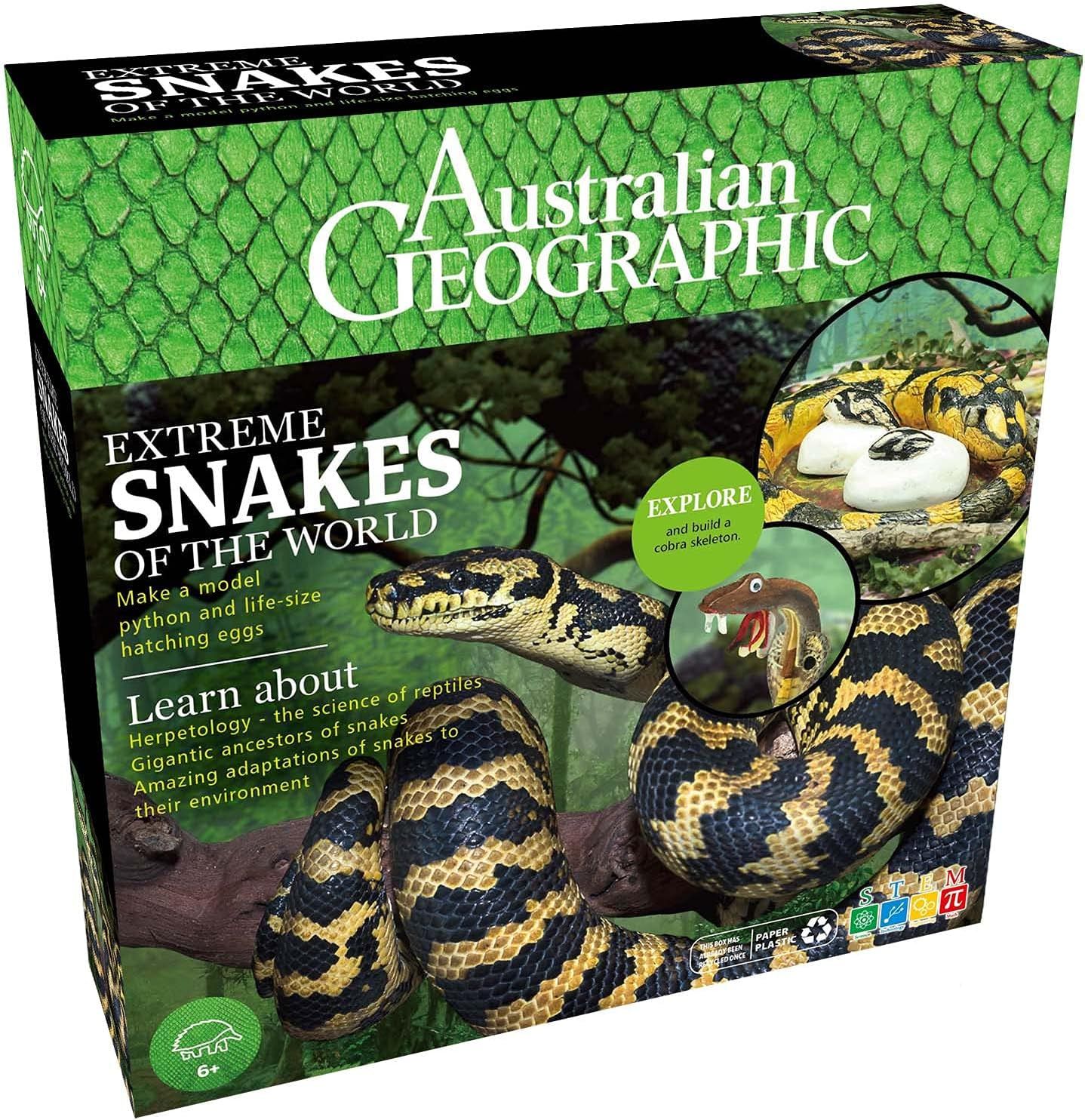 Australian Geographic Extreme Snakes of the World Kit, Green ? Build & Paint Diamond Python & Cobra Models, Create Jungle Diorama, Educational Science Craft for Kids