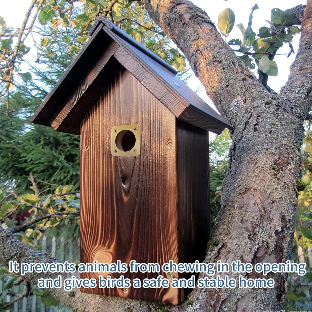 4-Piece Metal Bird House Guard Set &ndash; Durable Copper & Steel Hole Protectors for Bluebird, Sparrow & Small Bird Houses &ndash; Easy Install, Weather-Resistant (Gold, 1/4 Inch)