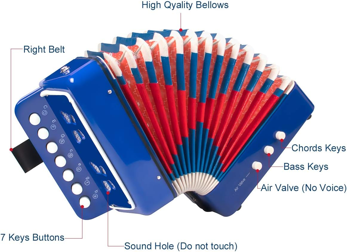 Button Accordion, Horse 10 Keys Control Kids Accordion Musical Instruments for Kids Children Beginners Lightweight and Environmentally-Friendly (Blue) - Blue image number 5